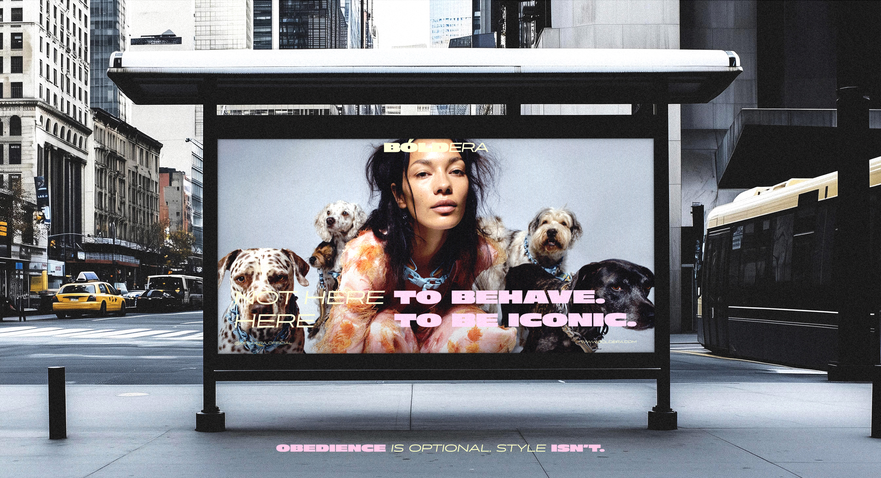 BOLDERA | Фирменный стиль для бренда одежды — Изображение №15 — Брендинг на Dprofile