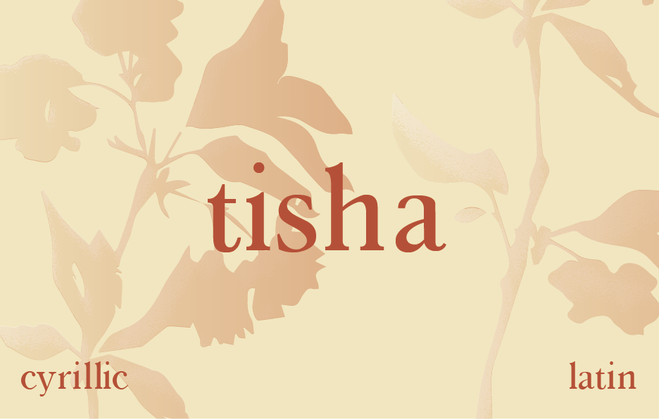 Шрифт Tisha — Изображение №1 — Брендинг, Графика на Dprofile