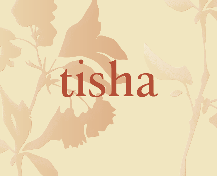 Шрифт Tisha — Брендинг, Графика на Dprofile