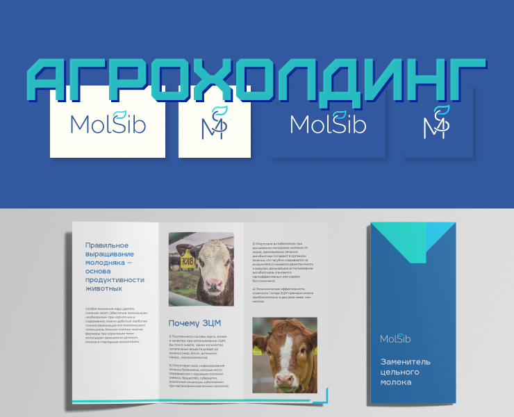 Брендинг для агрохолдинга — Брендинг на Dprofile