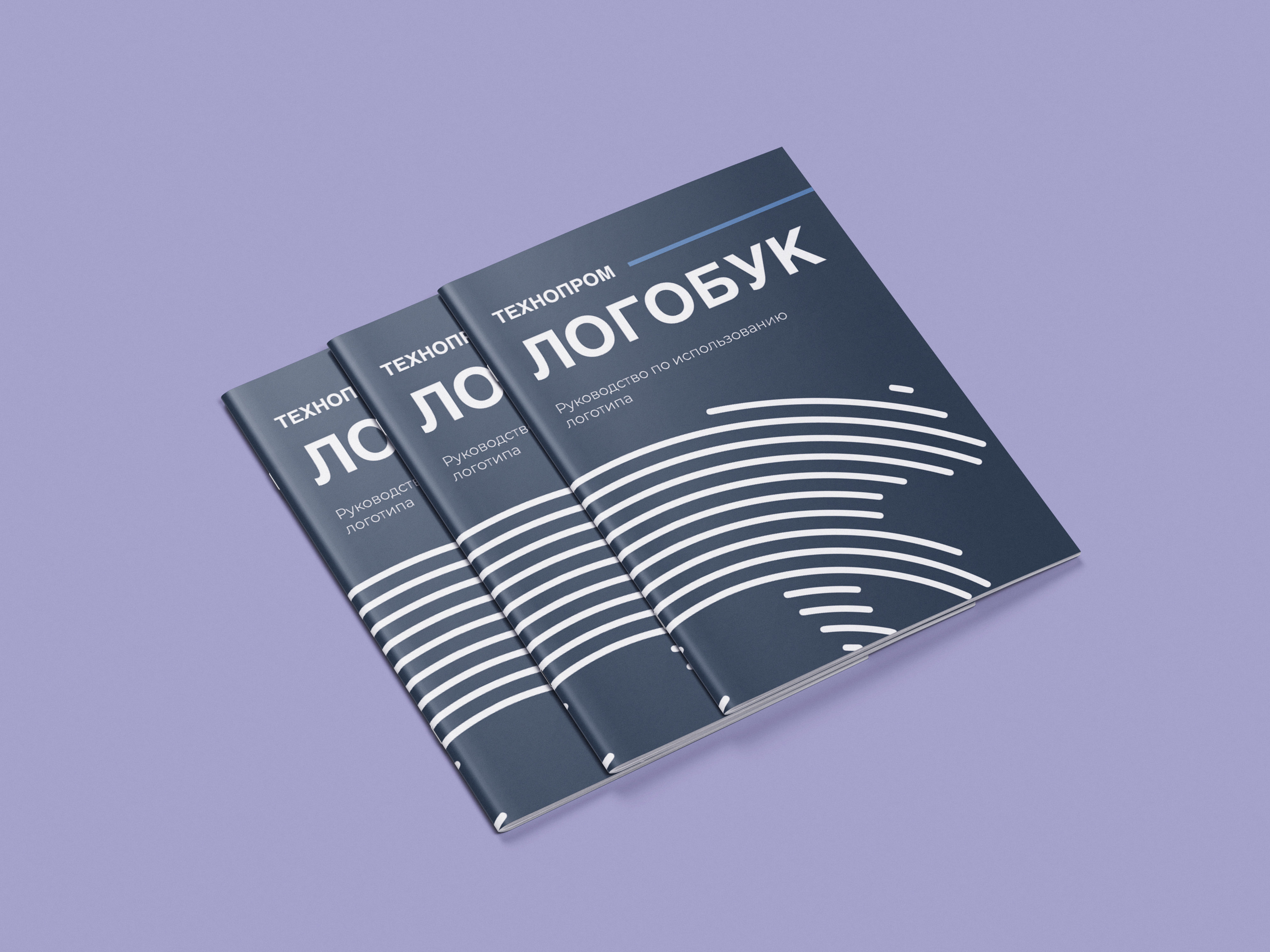 Технопром. Логобук — Изображение №13 — Брендинг на Dprofile