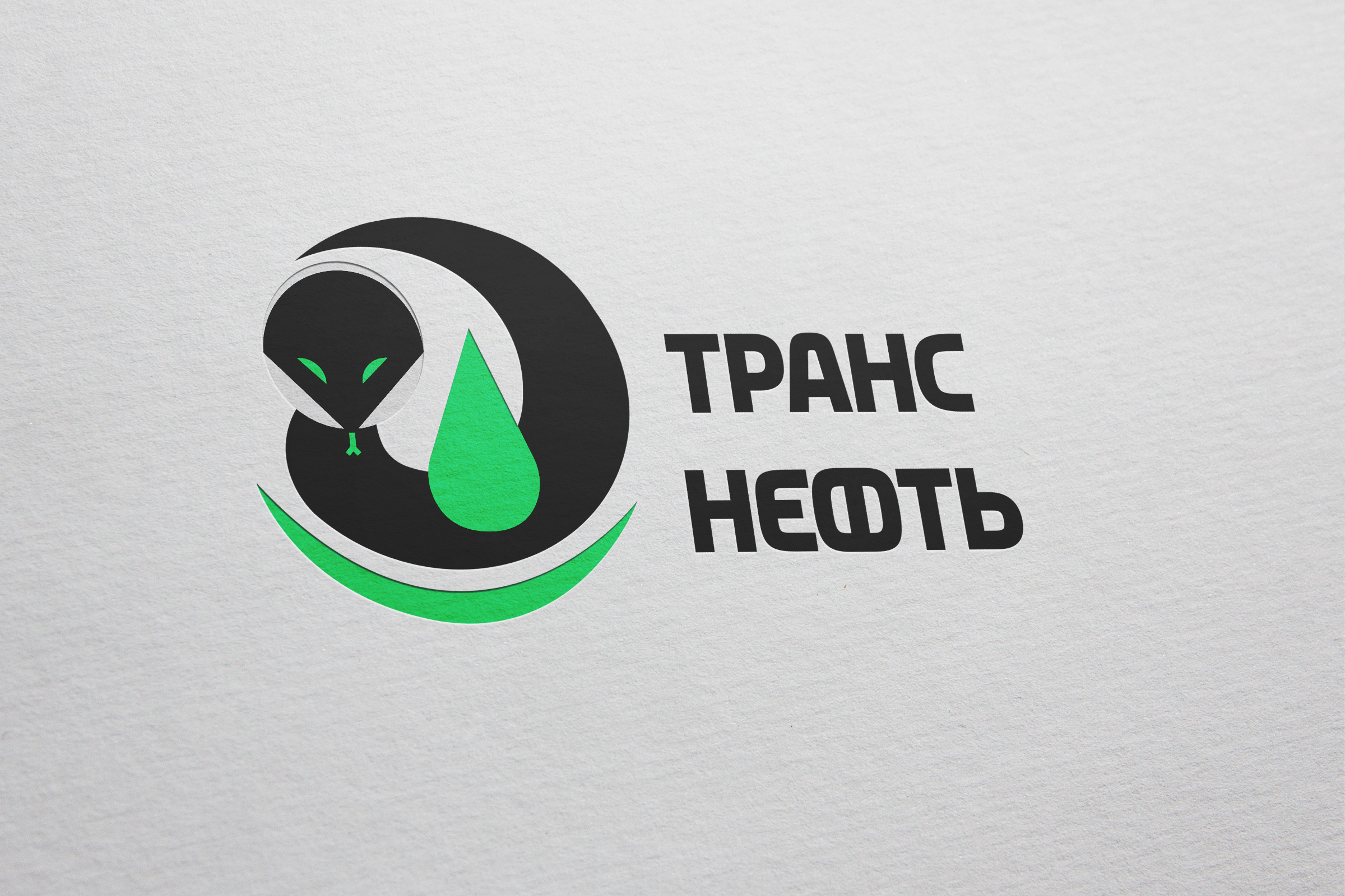 Транснефть. Концепция — Изображение №6 — Брендинг на Dprofile