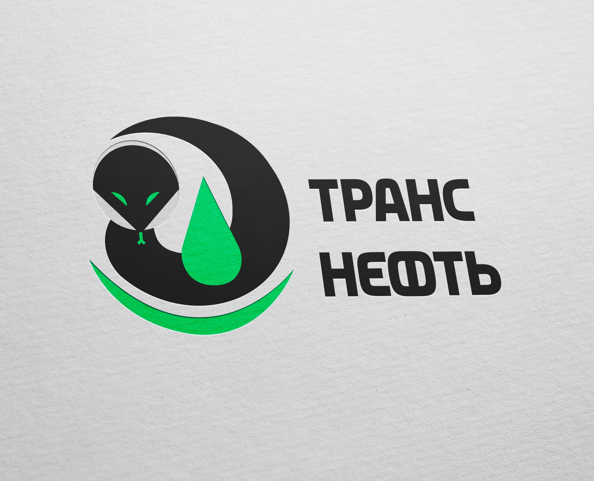 Транснефть. Концепция — Брендинг на Dprofile