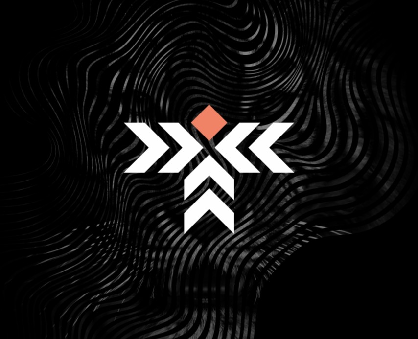 Тигры автоматизации. Tigratika — Брендинг на Dprofile