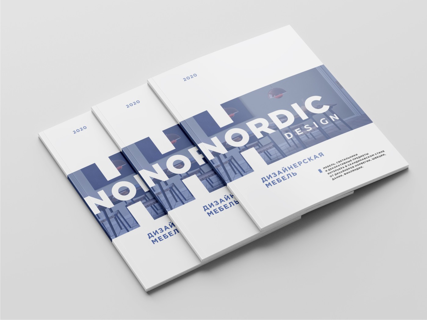Логотип магазина Nordic design — Изображение №6 — Брендинг на Dprofile