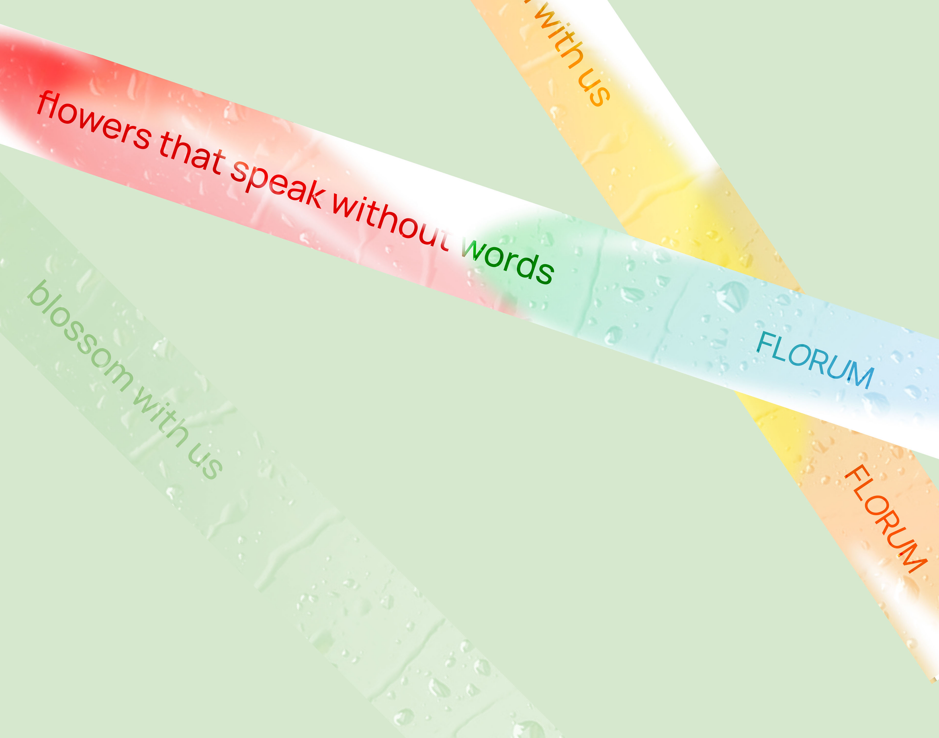Florum is a flower boutique — Изображение №9 — Брендинг на Dprofile
