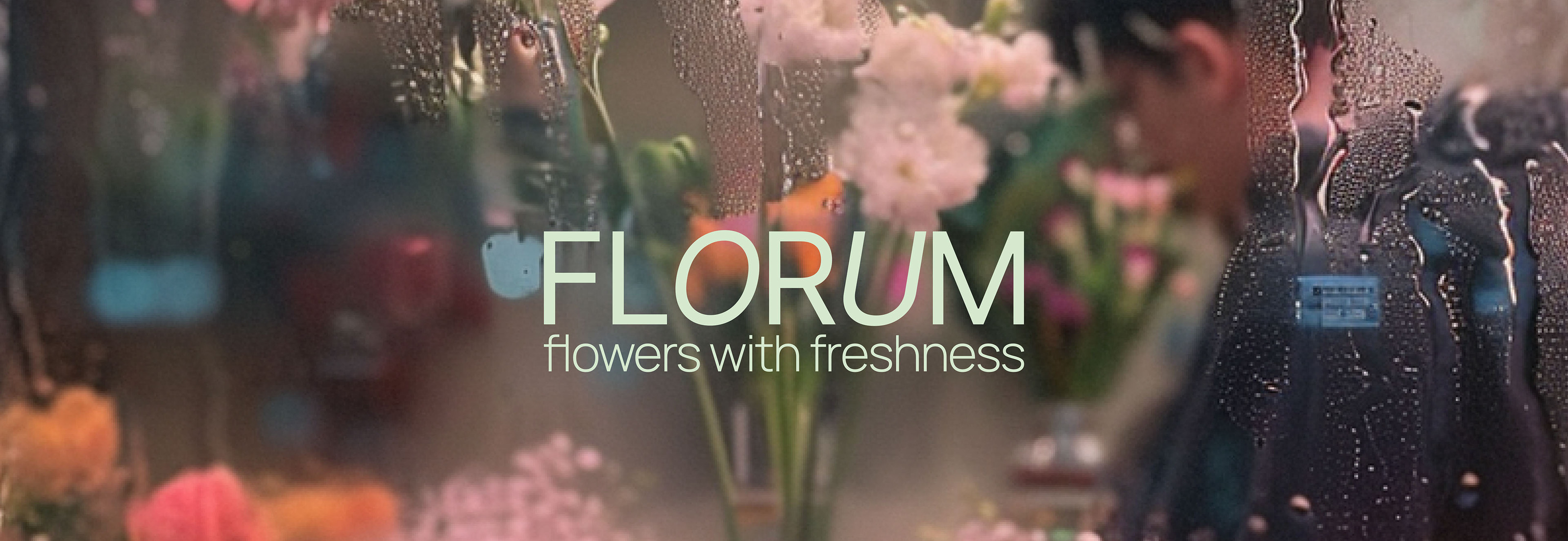 Florum is a flower boutique — Изображение №1 — Брендинг на Dprofile