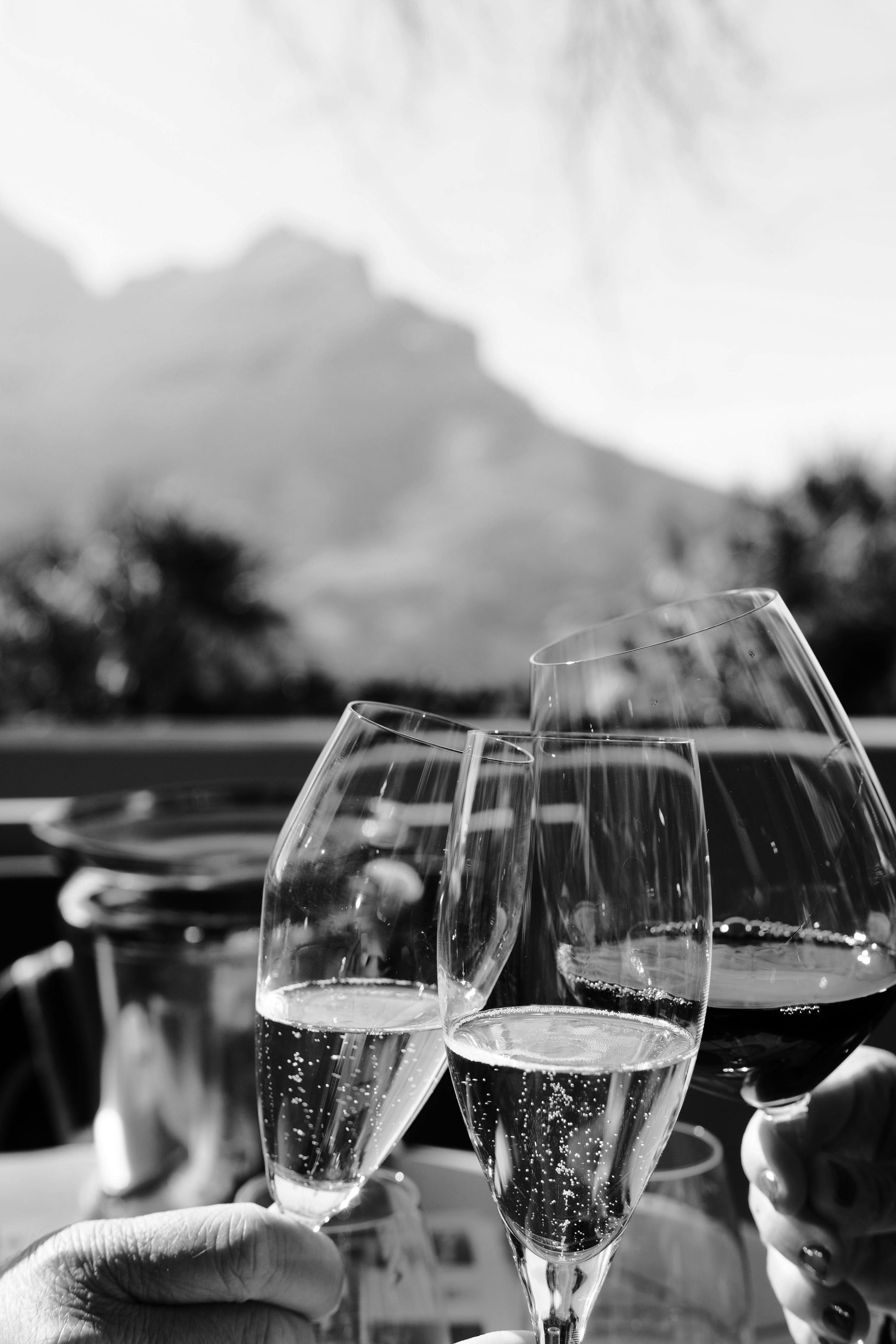 ROGUE wine from Australia — Изображение №25 — Брендинг на Dprofile