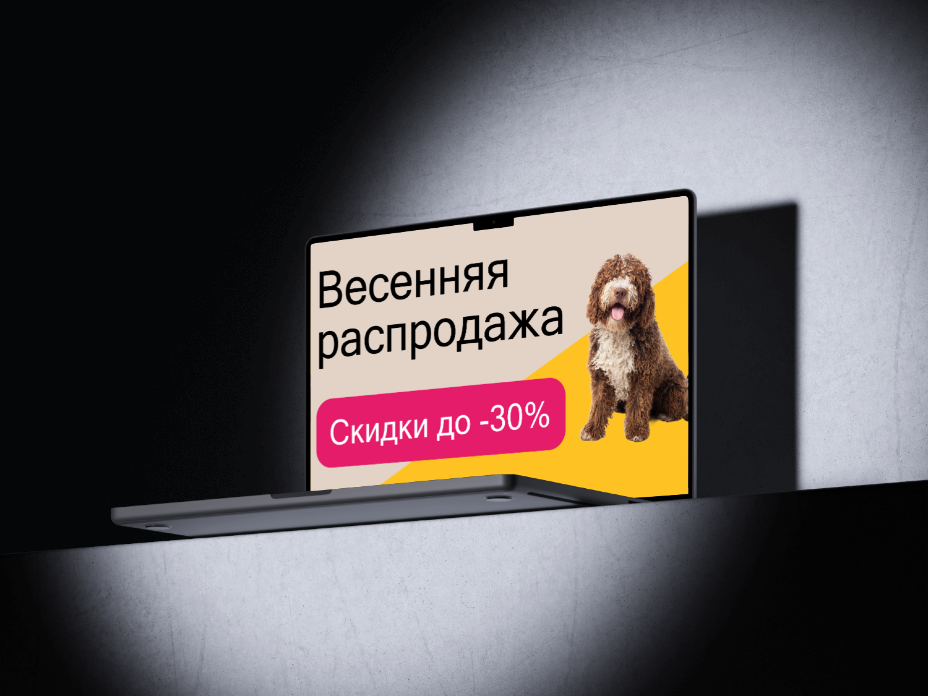 Концепт баннера для зоомагазина Четыре лапы — Изображение №9 — Интерфейсы, Брендинг на Dprofile