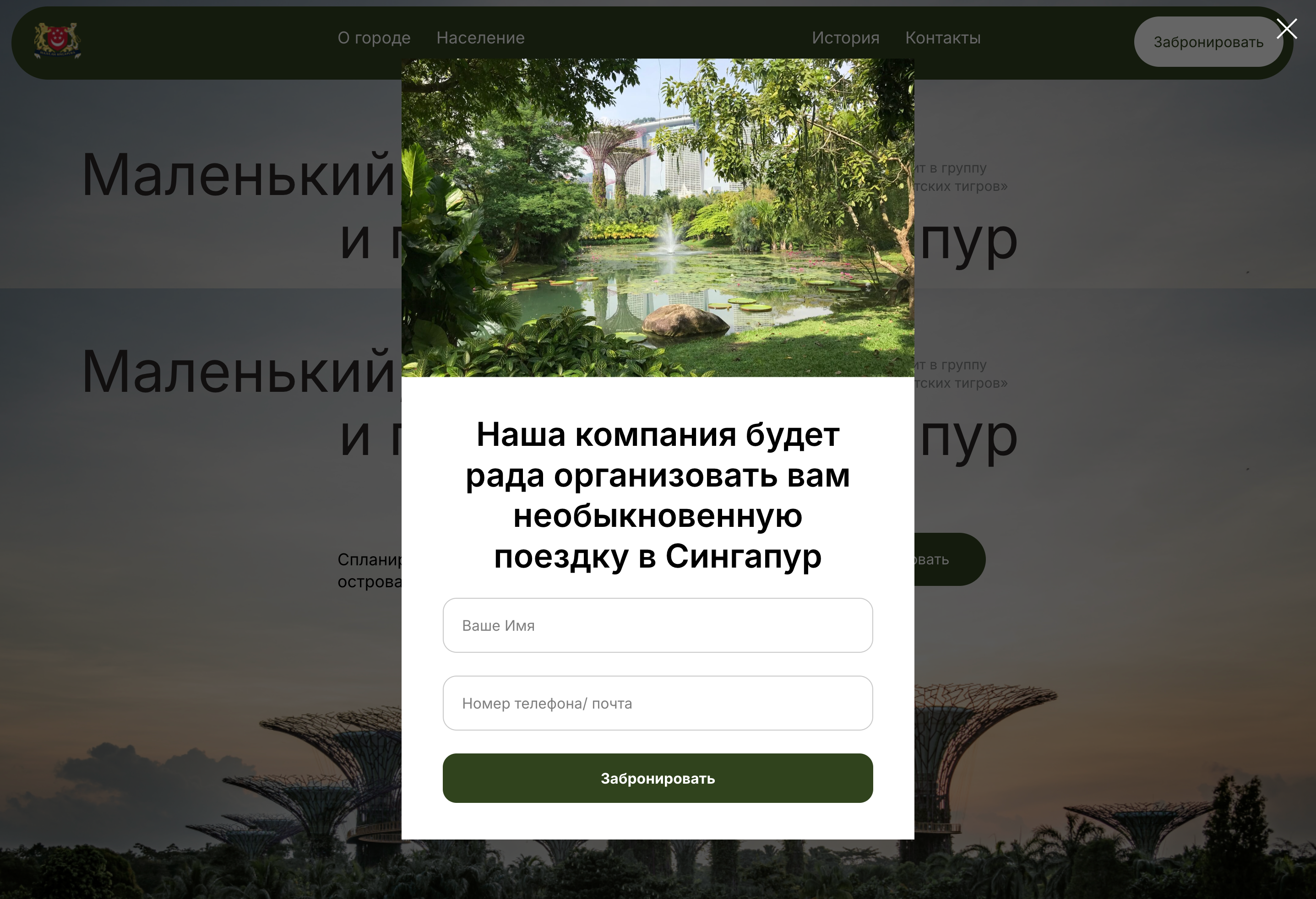 Лендинг для туристической фирмы — Изображение №3 — Интерфейсы на Dprofile