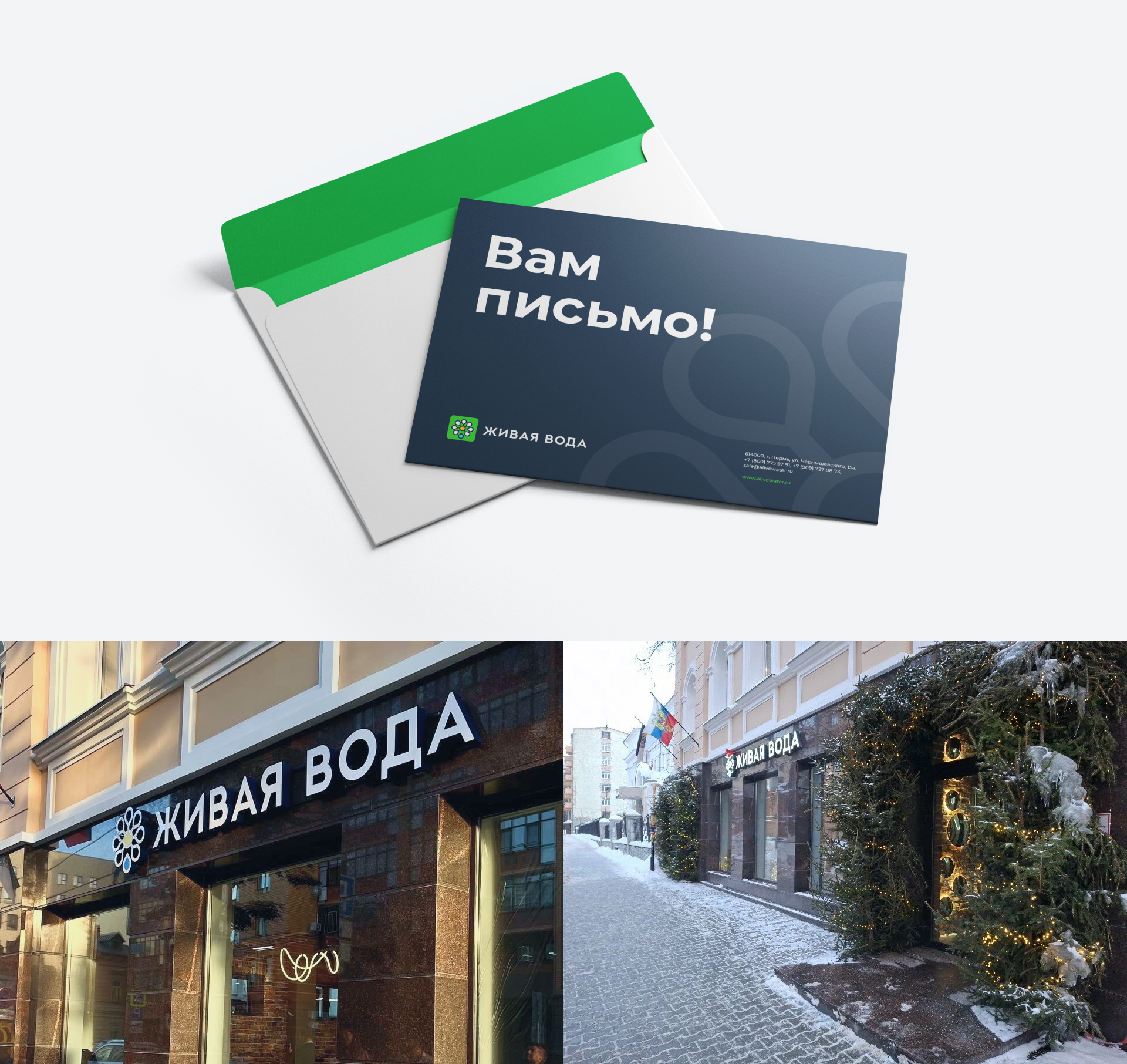 Живая вода. Фирменный стиль и концепт сайта. 2018 — Изображение №11 — Интерфейсы, Брендинг на Dprofile