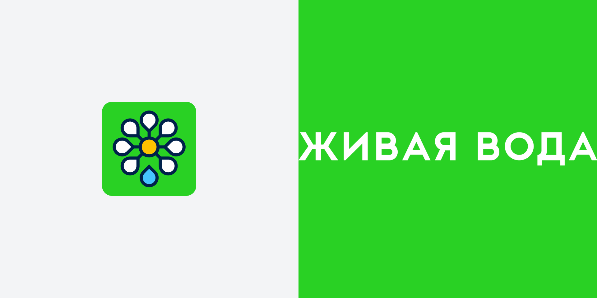 Живая вода. Фирменный стиль и концепт сайта. 2018 — Изображение №5 — Интерфейсы, Брендинг на Dprofile