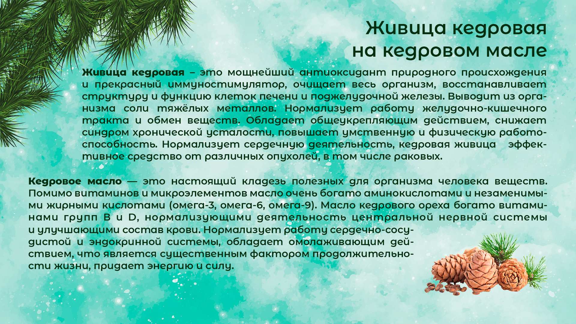 Упаковка для бальзама Живица кедровая — Изображение №1 — Брендинг на Dprofile