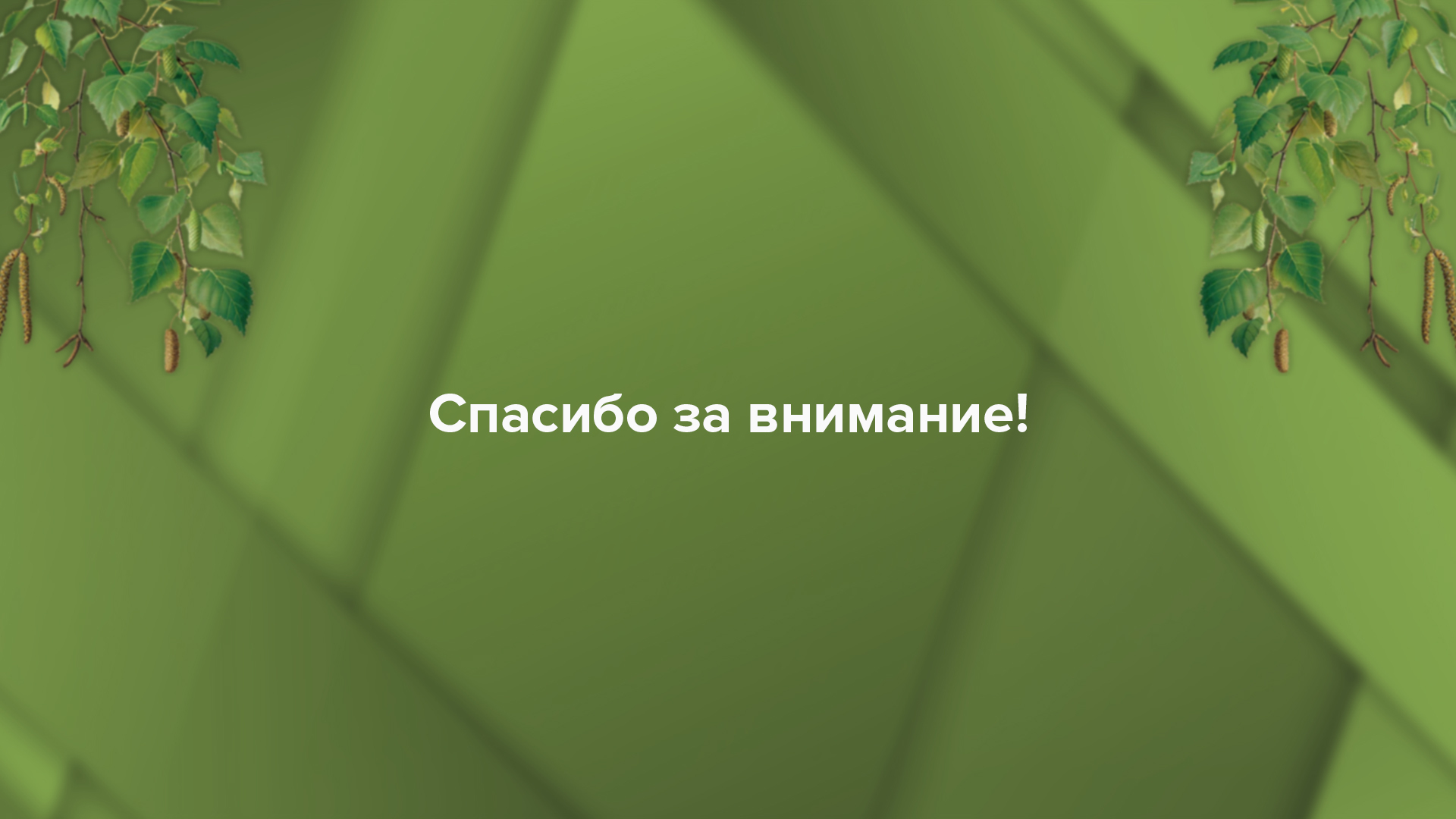 Упаковка для бальзама Чага с дигидрокверцетином — Изображение №12 — Брендинг на Dprofile