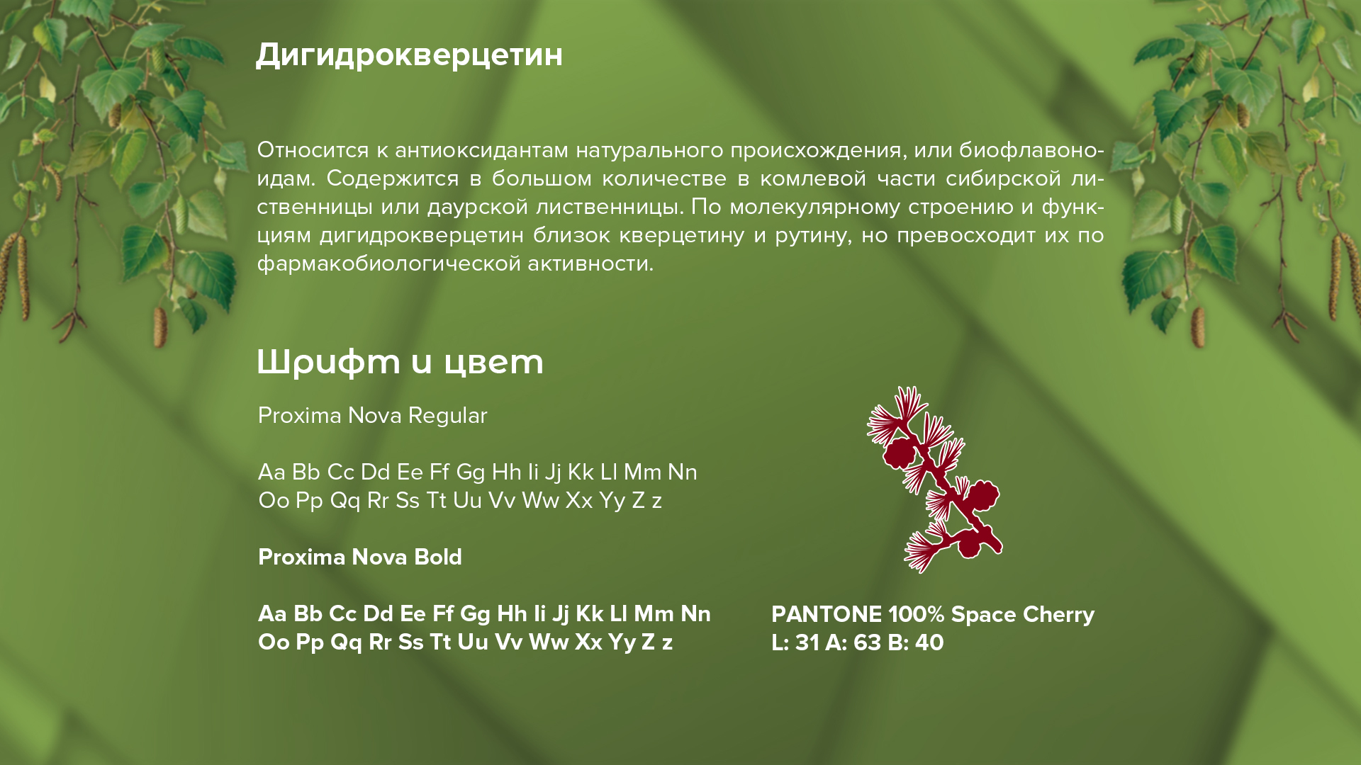 Упаковка для бальзама Чага с дигидрокверцетином — Изображение №1 — Брендинг на Dprofile