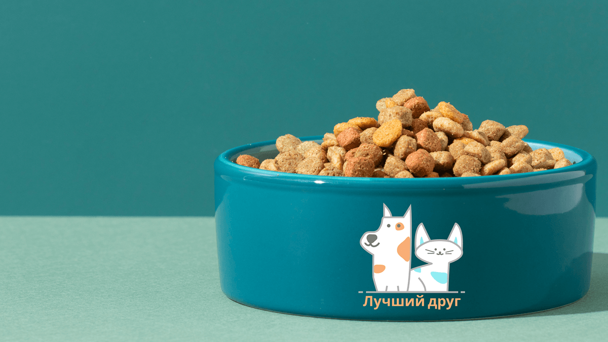 Лучший друг | Фирменный стиль — Изображение №3 — Брендинг на Dprofile