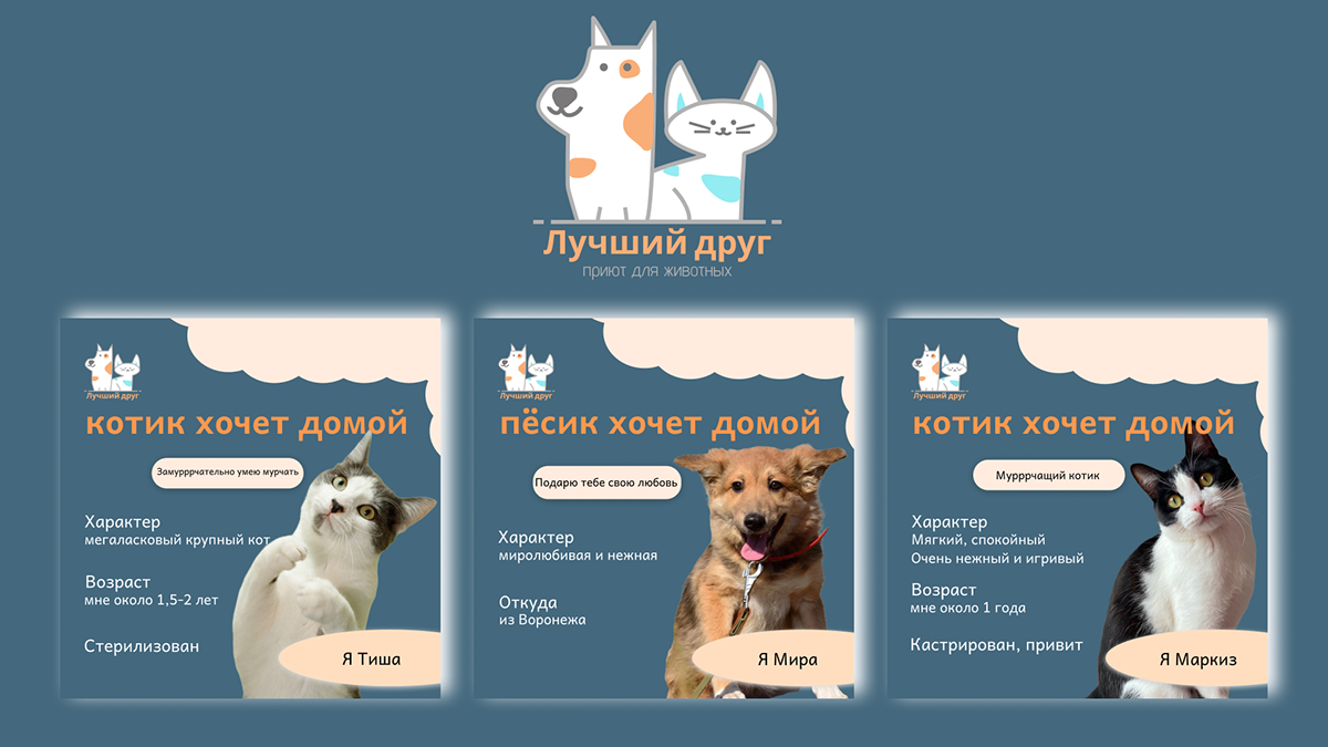 Лучший друг | Фирменный стиль — Изображение №5 — Брендинг на Dprofile