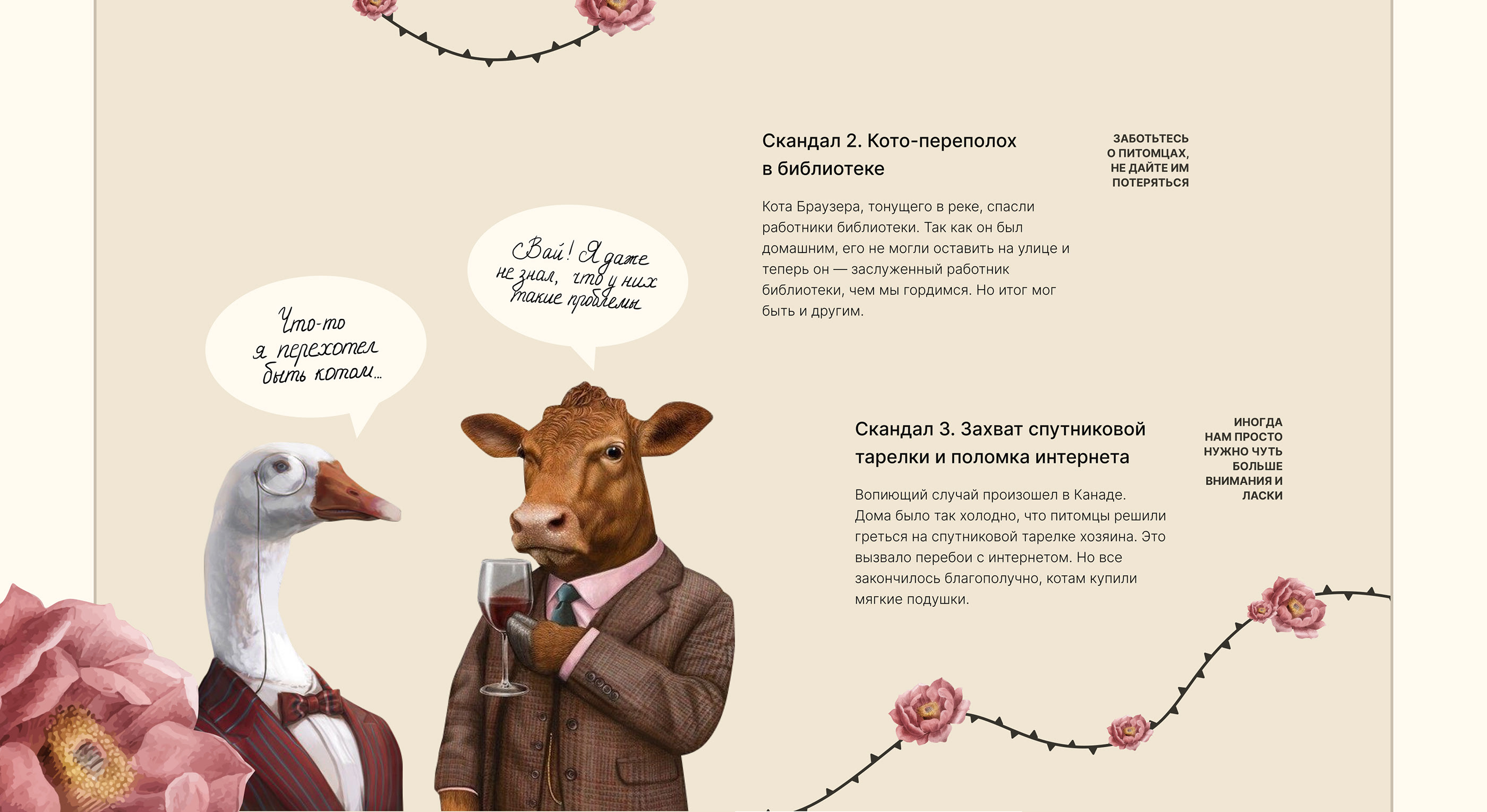Сайт про уход за домашними котами — Изображение №11 — Интерфейсы, Брендинг на Dprofile