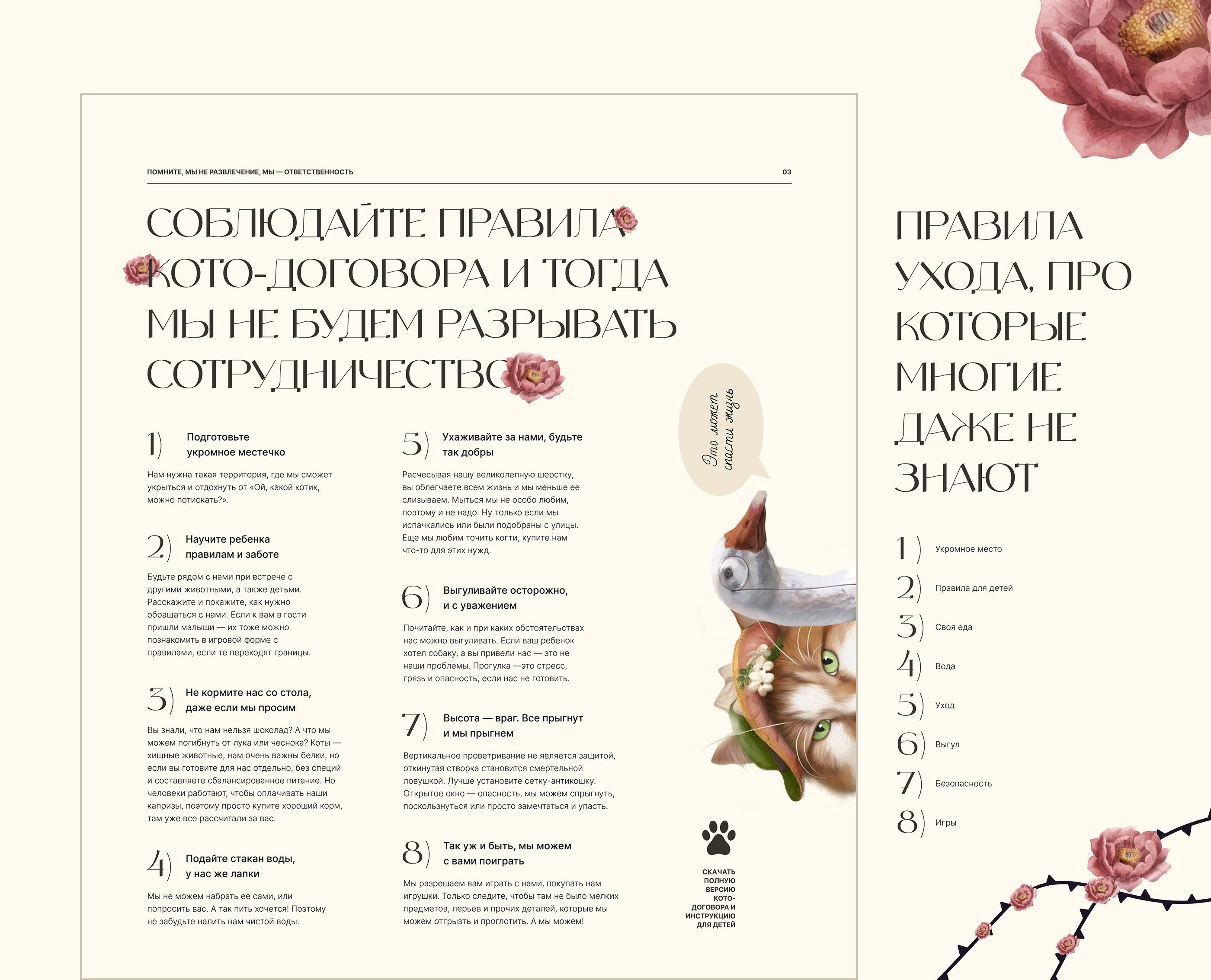 Сайт про уход за домашними котами — Изображение №8 — Интерфейсы, Брендинг на Dprofile
