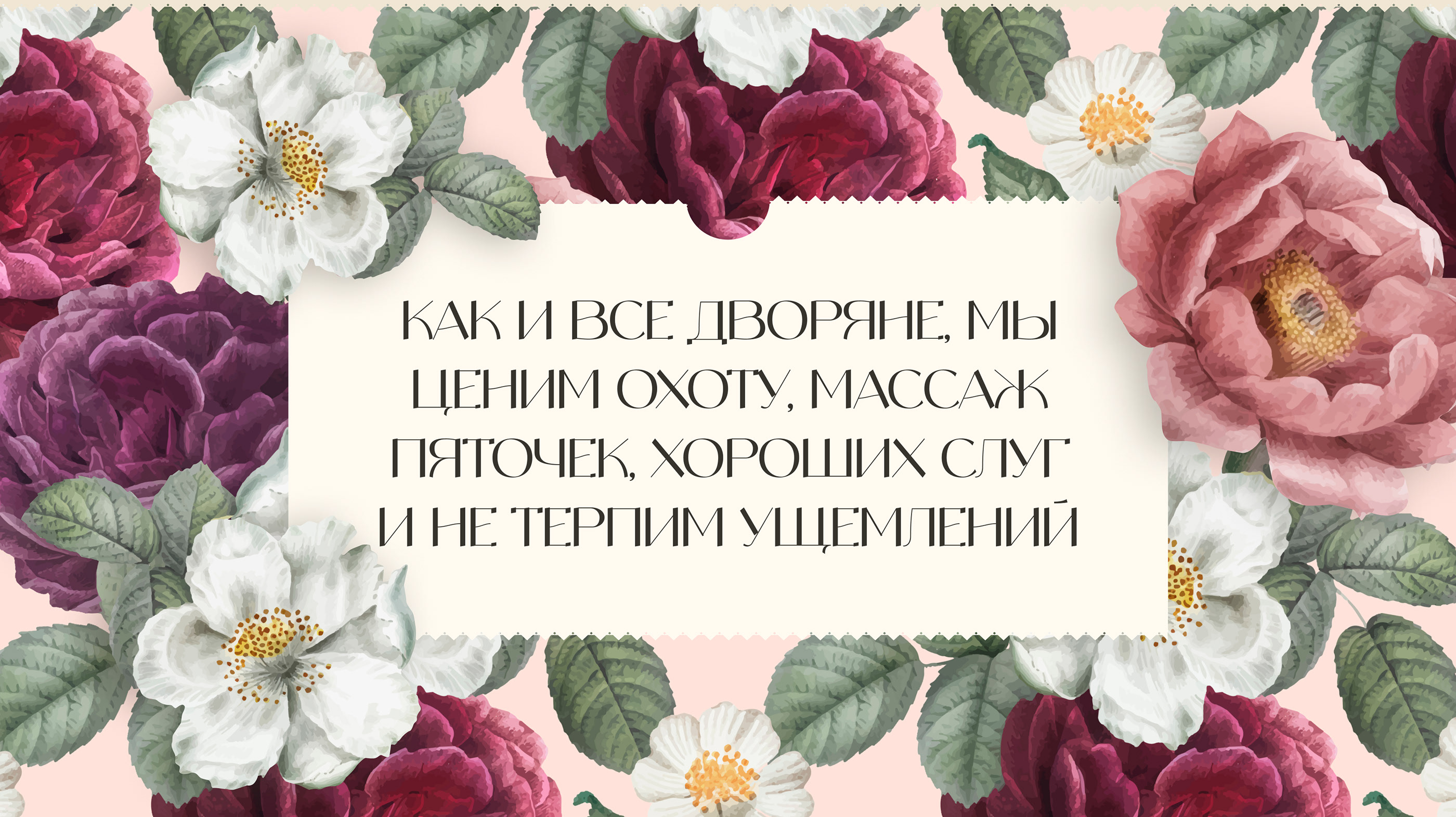 Сайт про уход за домашними котами — Изображение №4 — Интерфейсы, Брендинг на Dprofile
