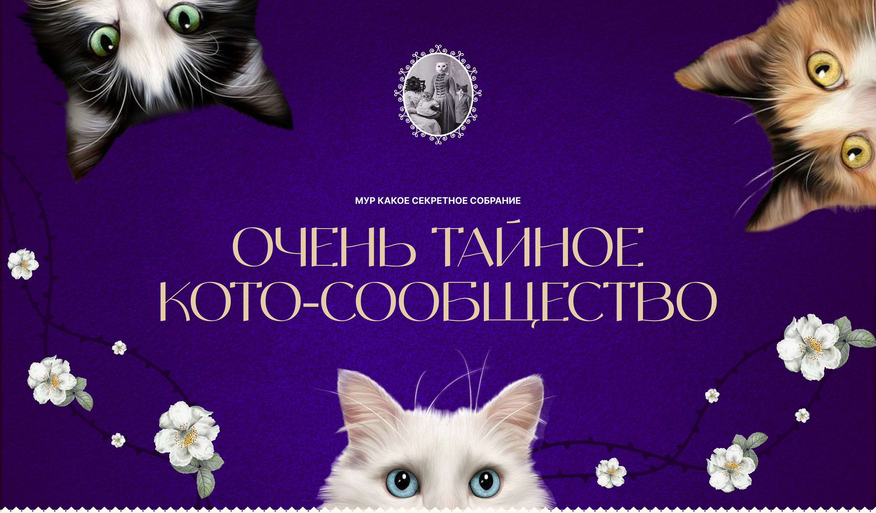 Сайт про уход за домашними котами — Изображение №1 — Интерфейсы, Брендинг на Dprofile