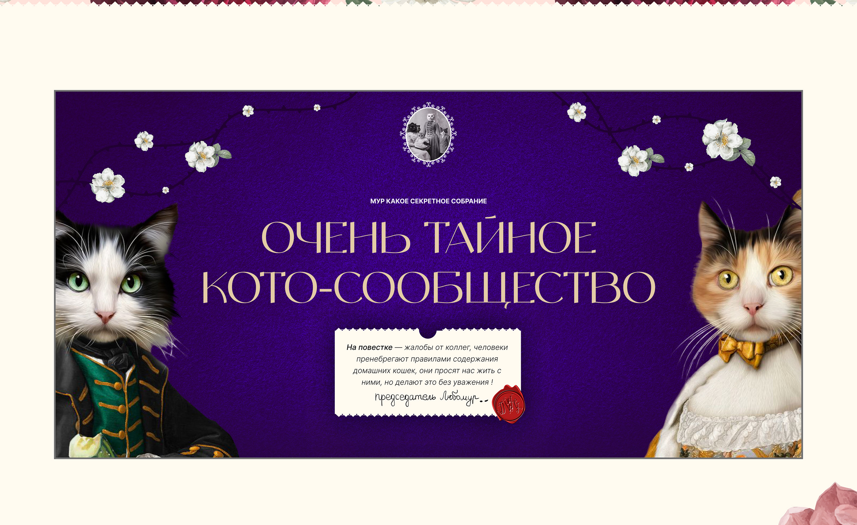 Сайт про уход за домашними котами — Изображение №5 — Интерфейсы, Брендинг на Dprofile