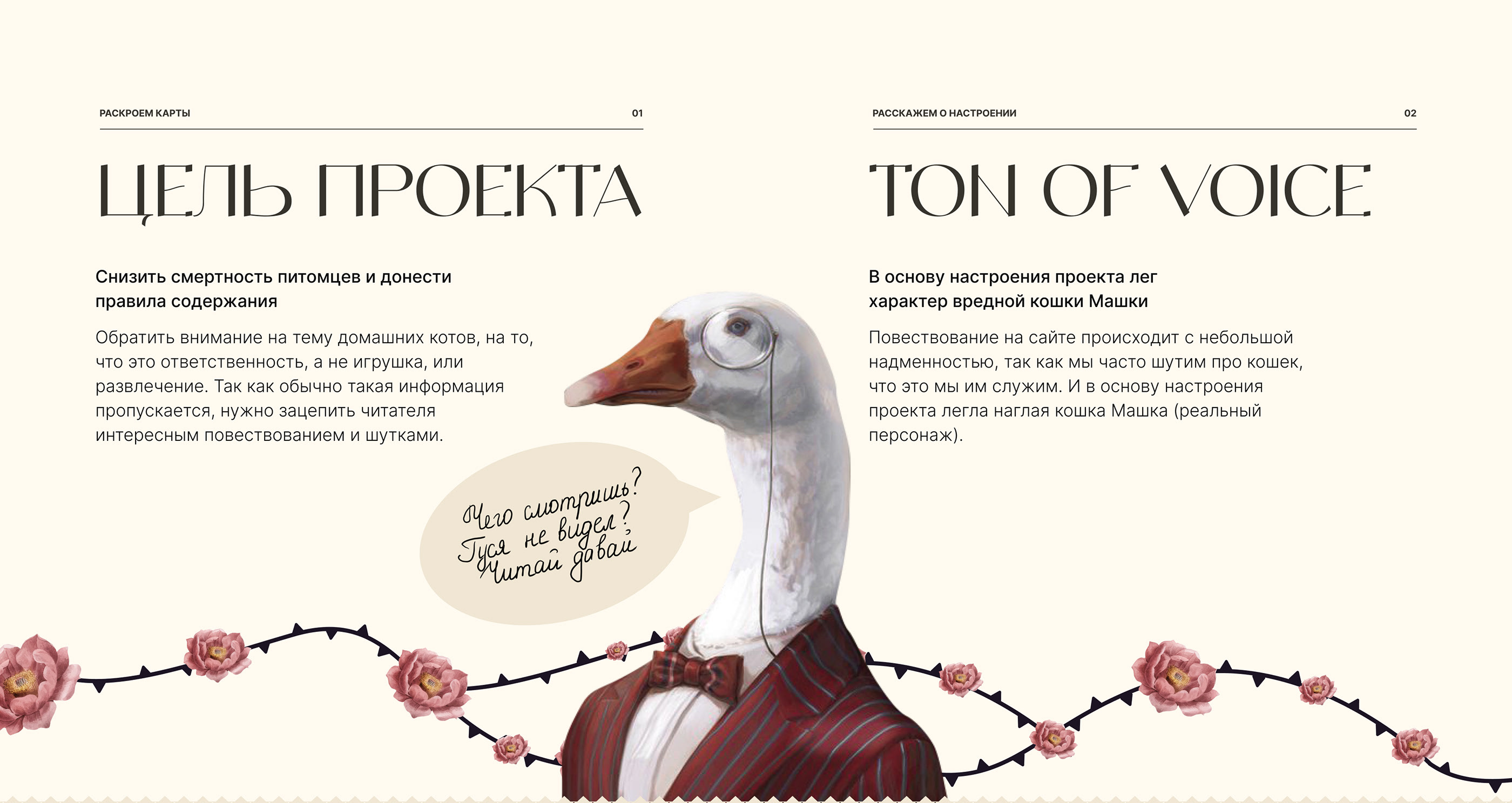 Сайт про уход за домашними котами — Изображение №2 — Интерфейсы, Брендинг на Dprofile