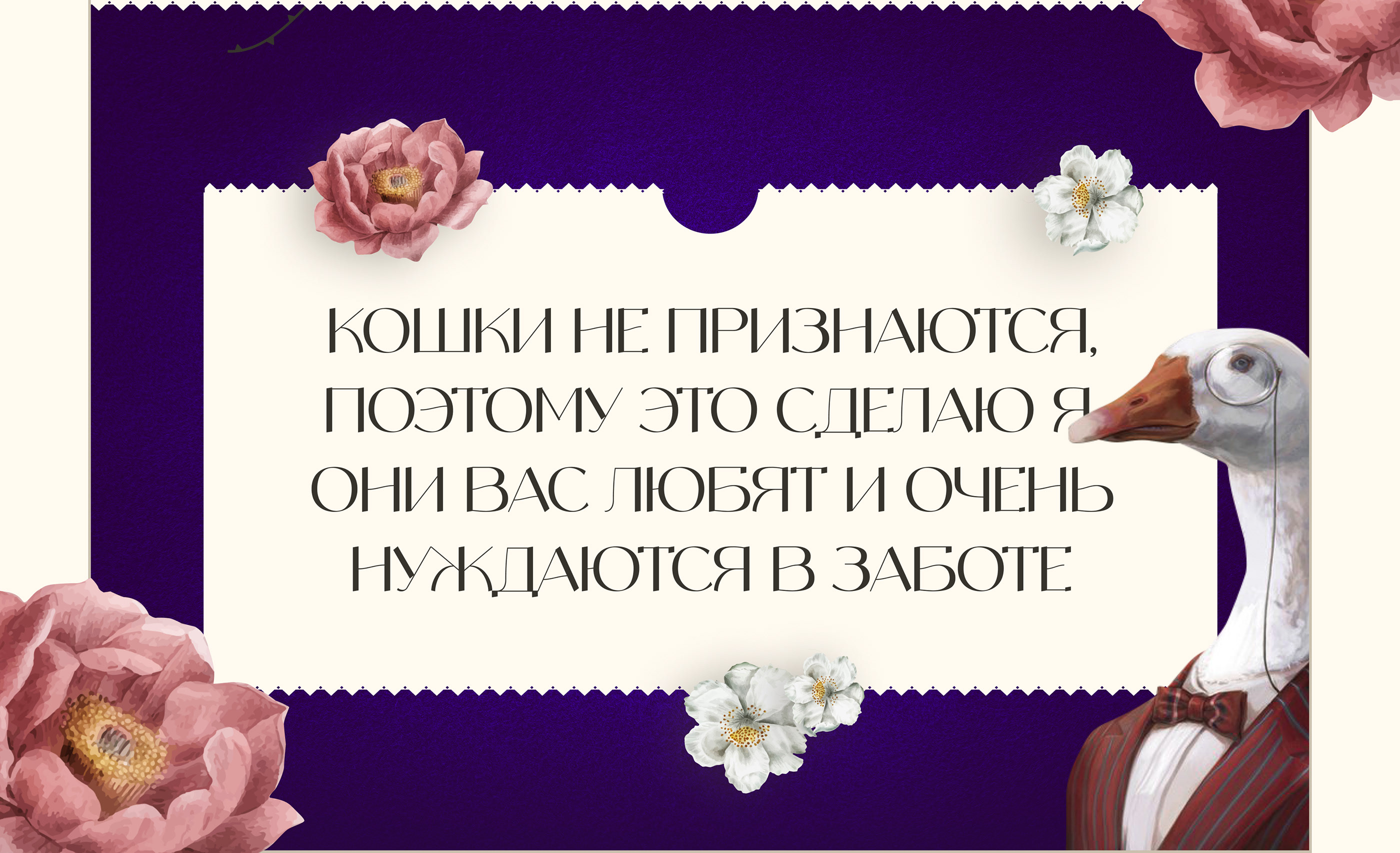 Сайт про уход за домашними котами — Изображение №13 — Интерфейсы, Брендинг на Dprofile