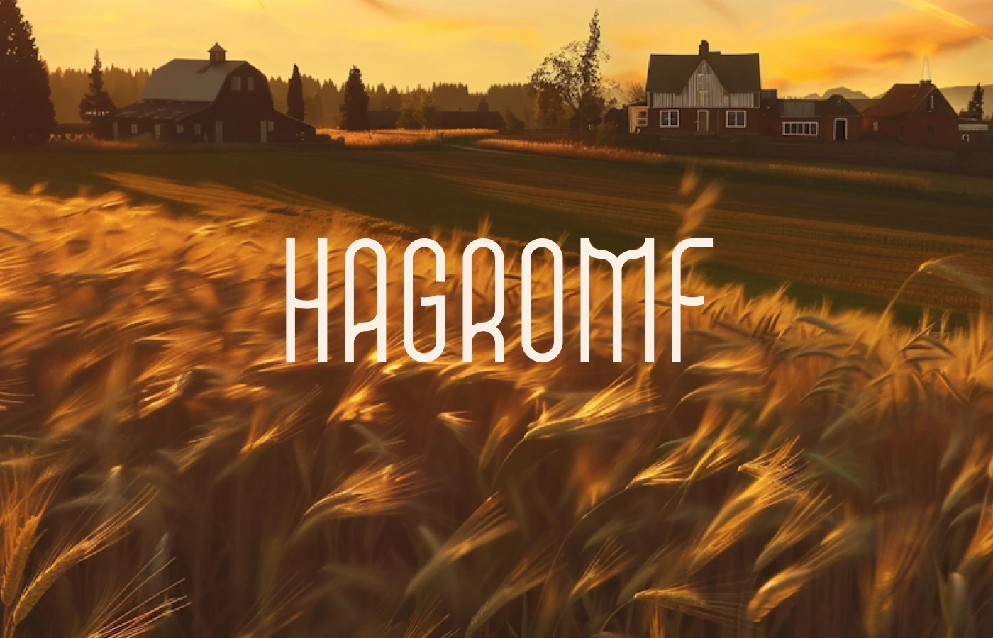 Фирменный стиль HAGROMF — Изображение №1 — Интерфейсы, Брендинг на Dprofile