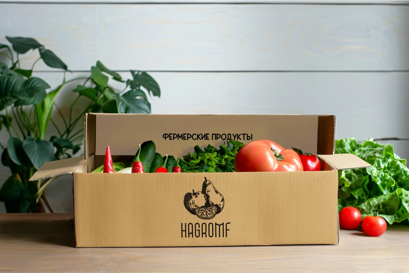Фирменный стиль HAGROMF — Изображение №9 — Интерфейсы, Брендинг на Dprofile
