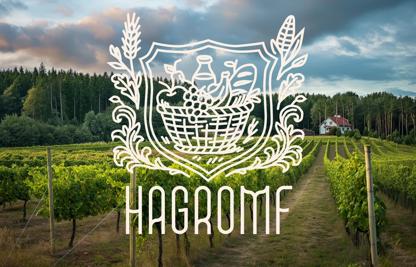 Фирменный стиль HAGROMF — Изображение №14 — Интерфейсы, Брендинг на Dprofile