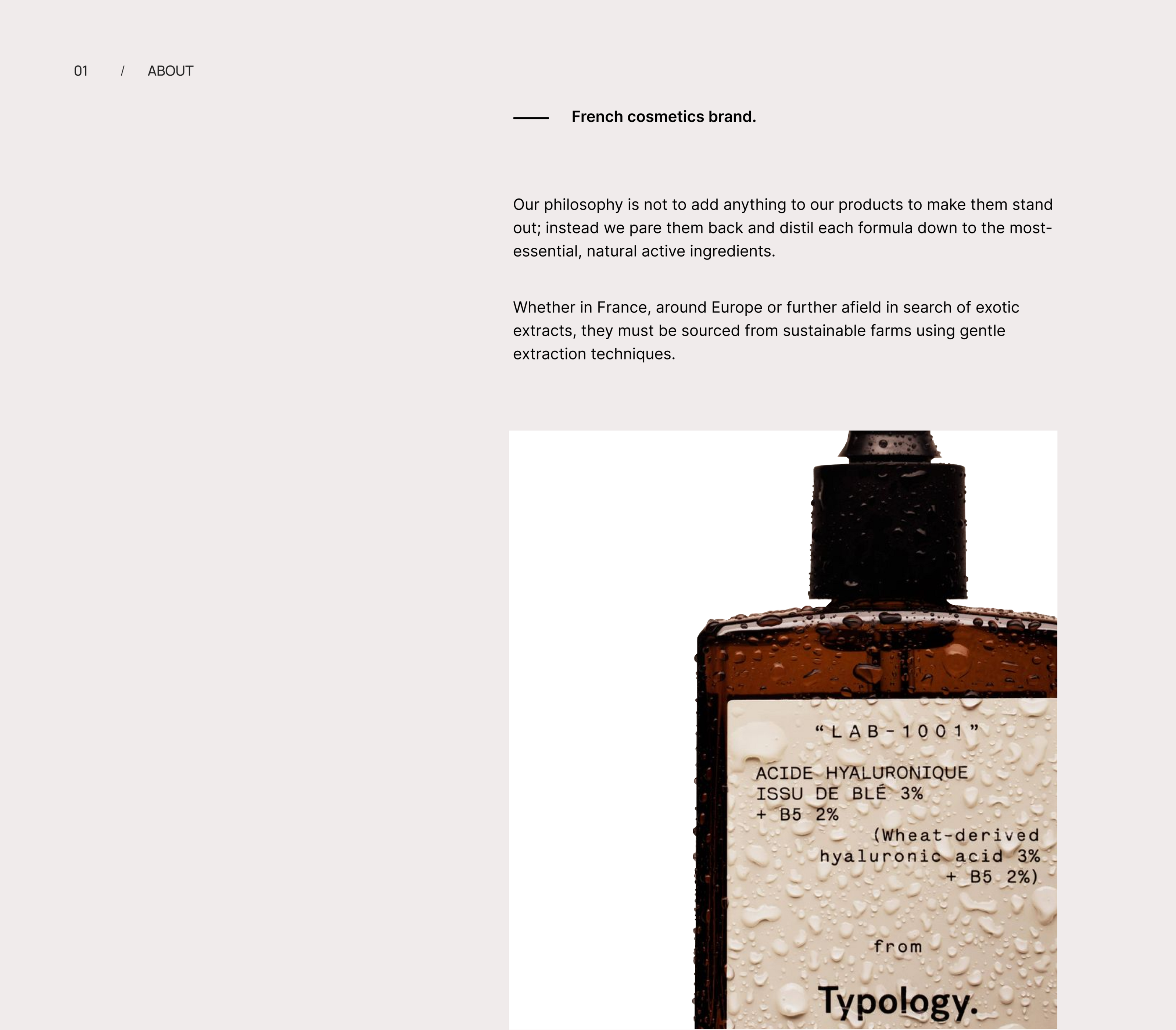 TYPOLOGY. Redesign concept. Cosmetic store — Изображение №3 — Интерфейсы на Dprofile