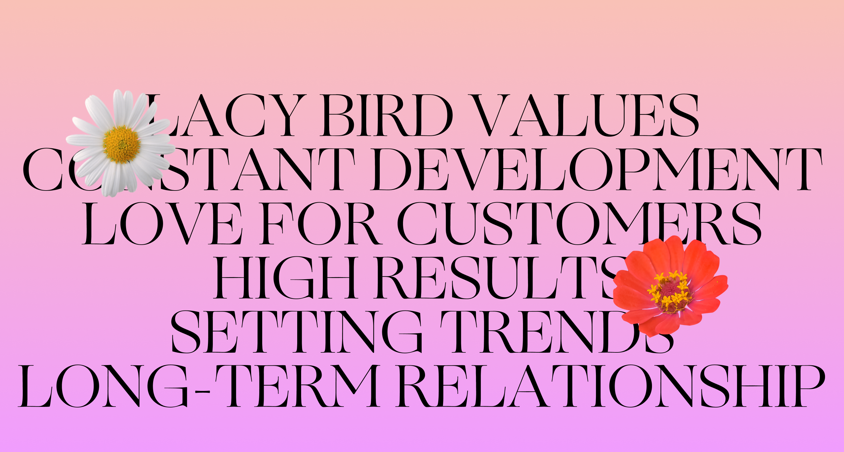 LACY BIRD | E-COMMERCE REDESIGN — Изображение №3 — Интерфейсы на Dprofile