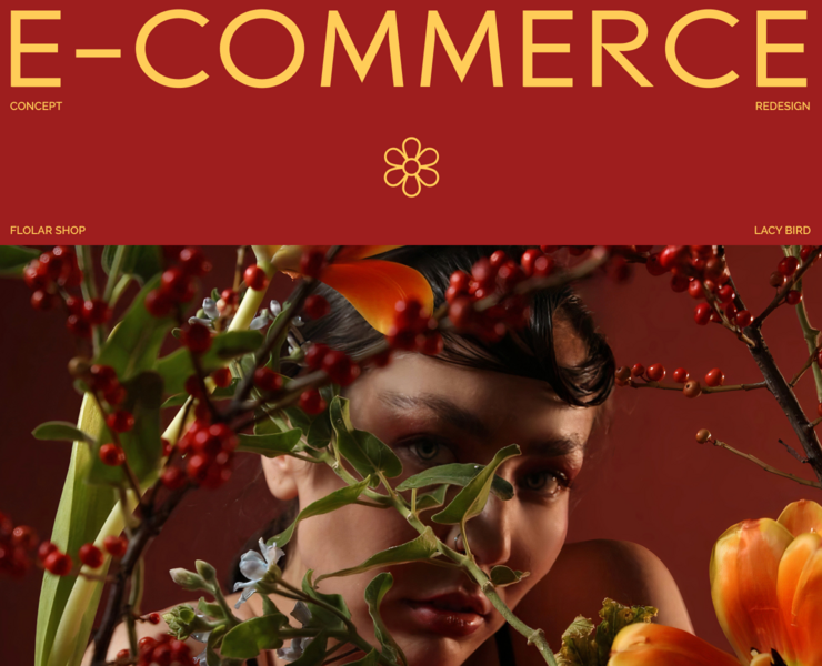 LACY BIRD | E-COMMERCE REDESIGN — Интерфейсы на Dprofile
