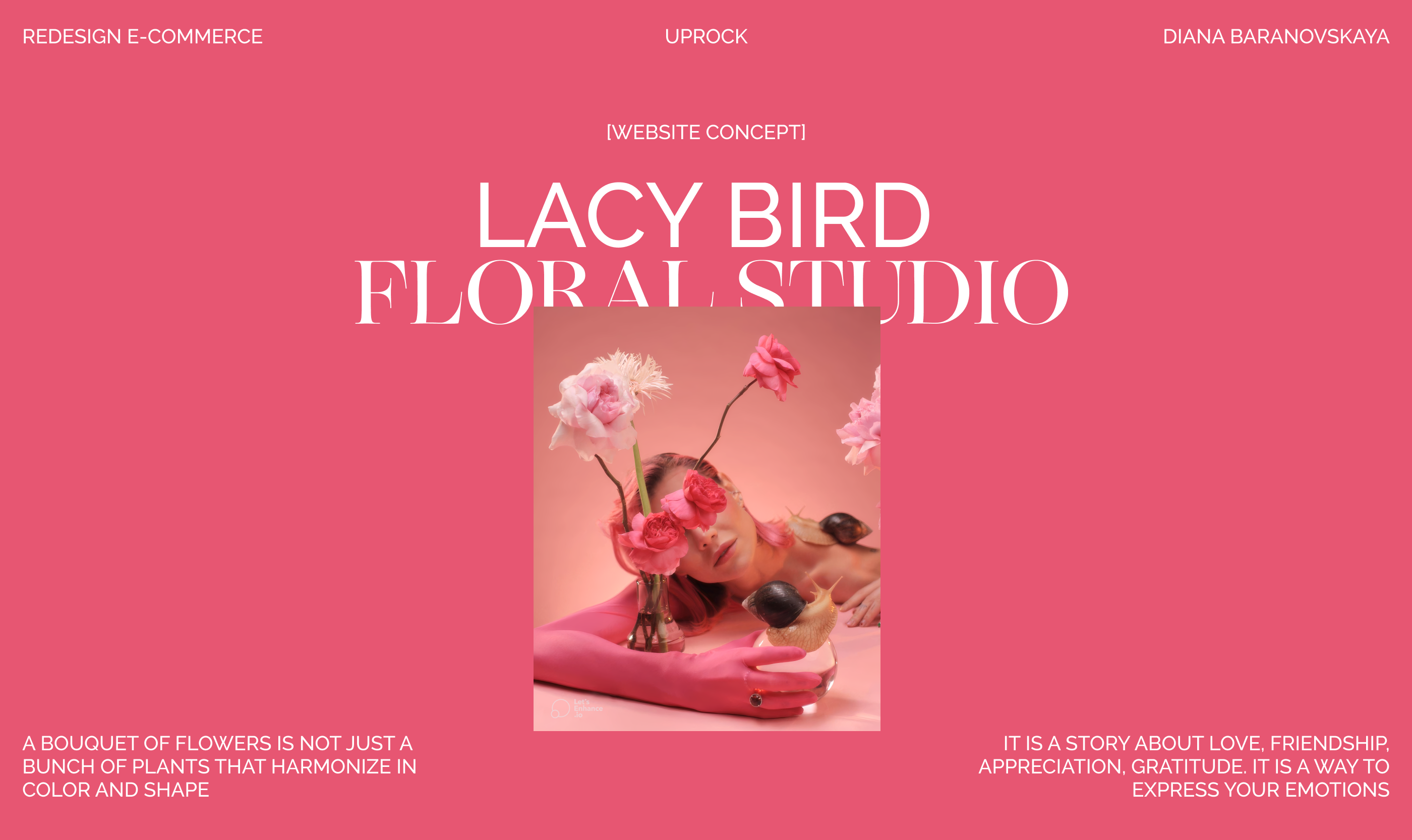 LACY BIRD | E-COMMERCE REDESIGN — Изображение №1 — Интерфейсы на Dprofile