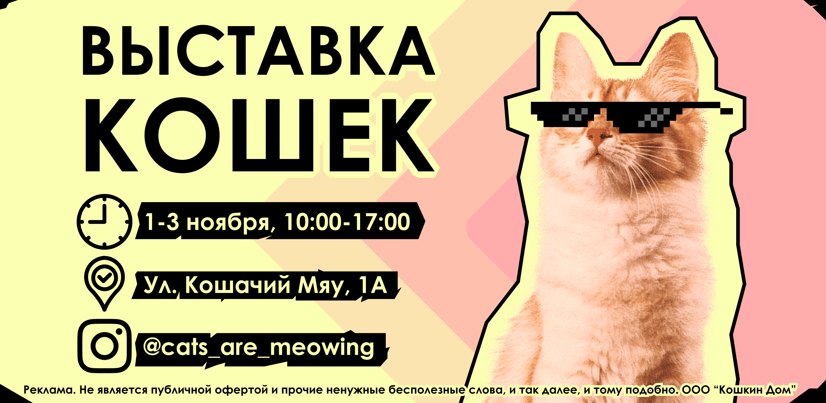 Баннер для выставки кошек — Изображение №1 — Маркетинг на Dprofile