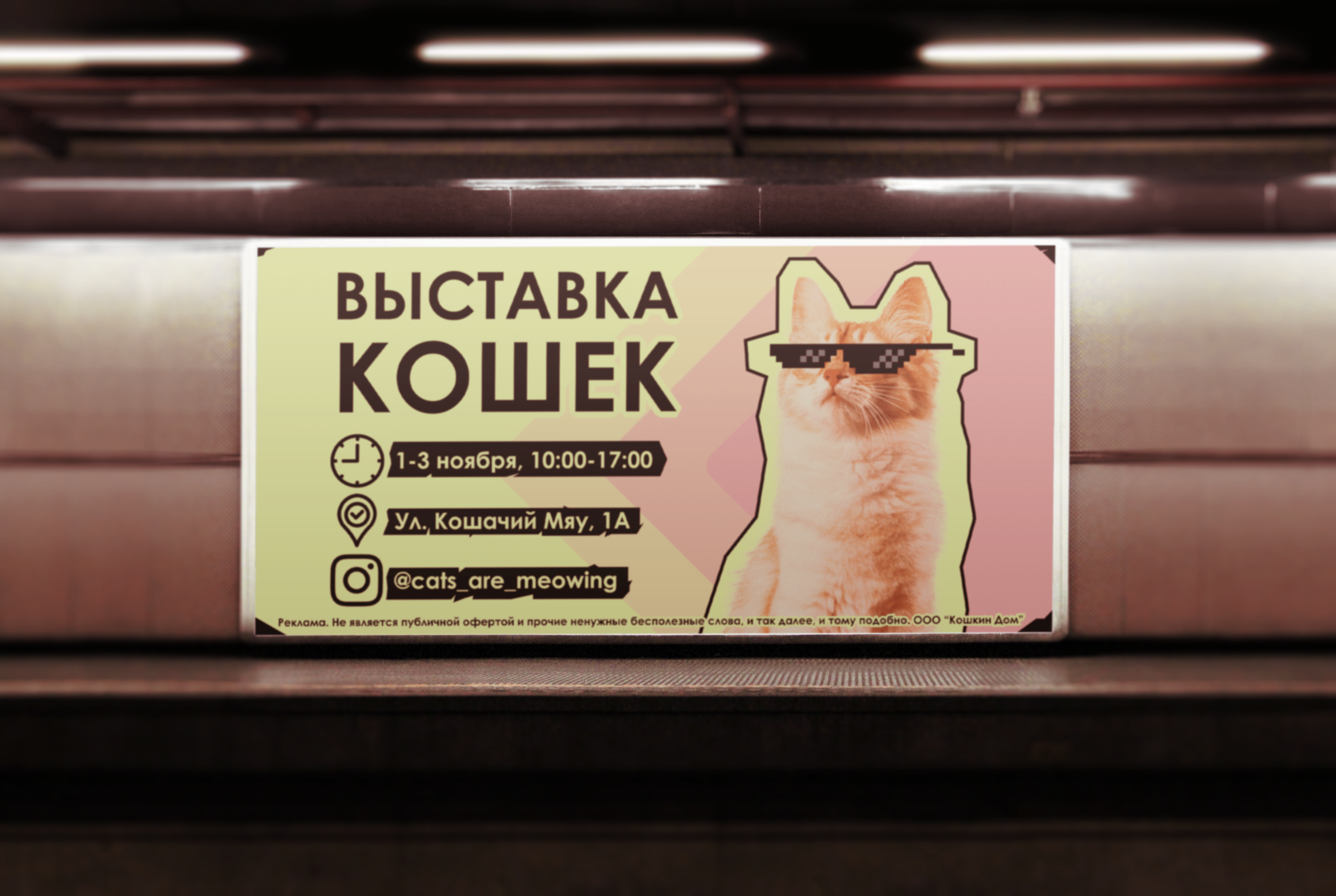 Баннер для выставки кошек — Изображение №2 — Маркетинг на Dprofile