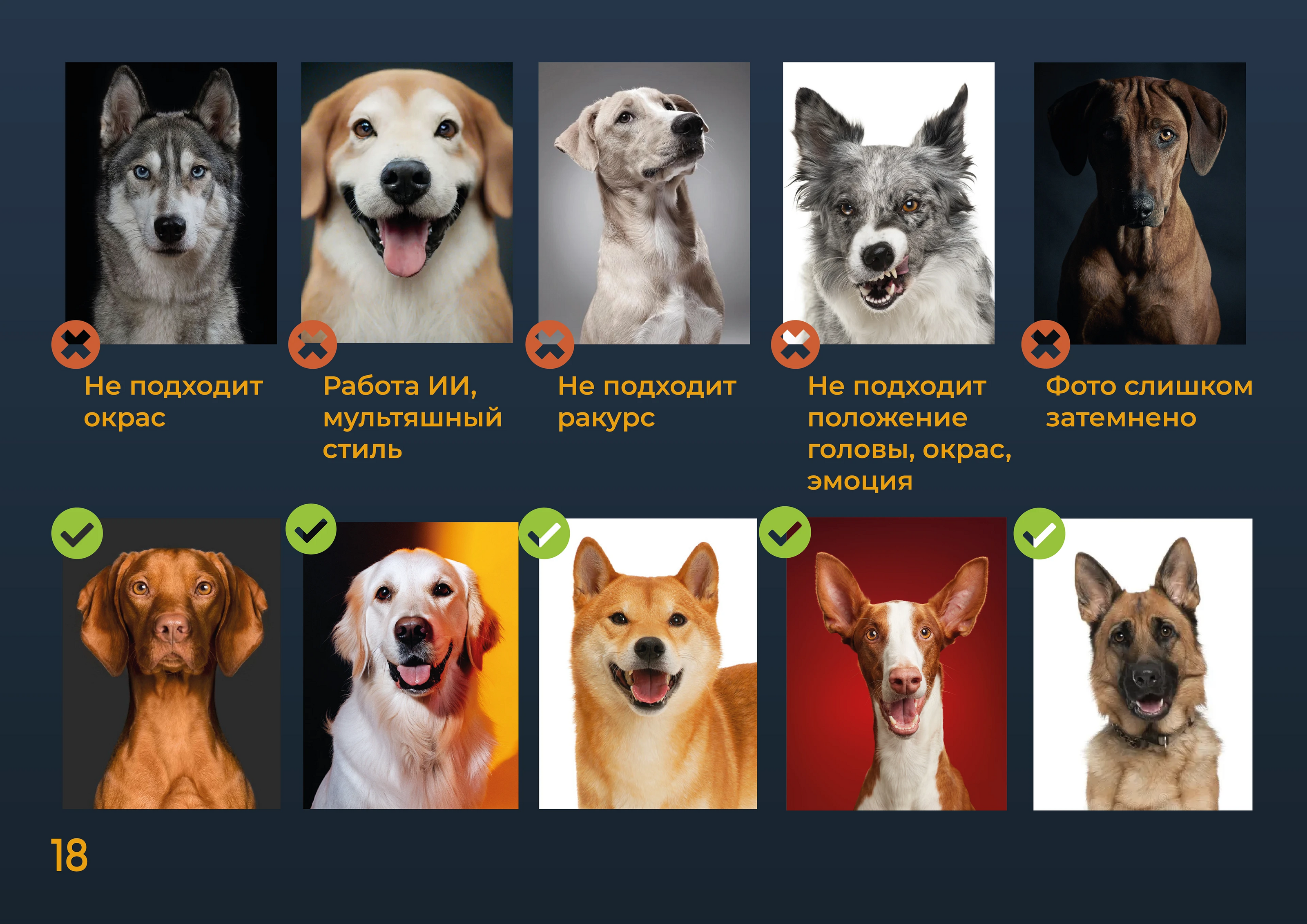 Брендбук HappyPet: полный гайдлайн — Изображение №18 — Интерфейсы, Брендинг на Dprofile