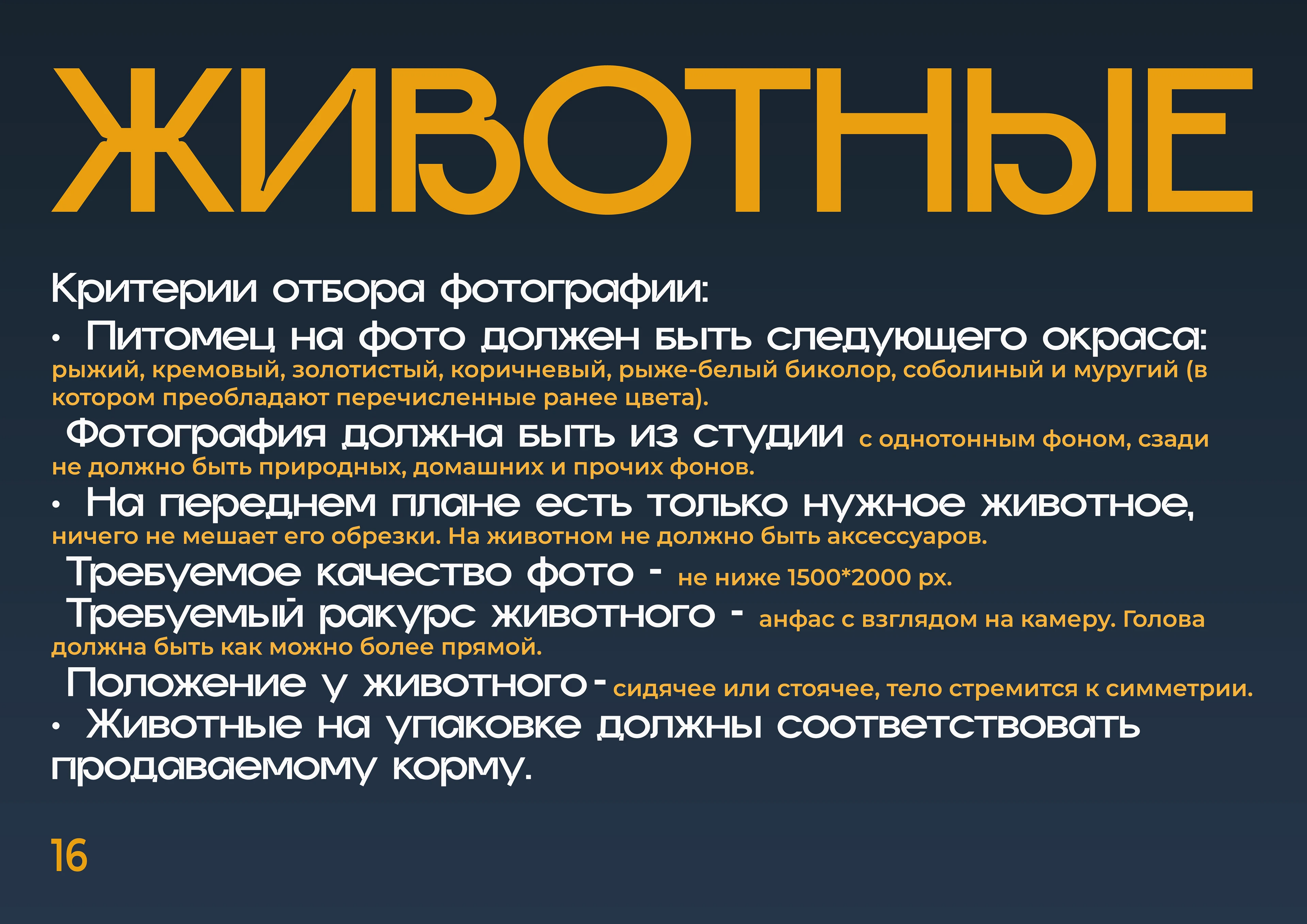 Брендбук HappyPet: полный гайдлайн — Изображение №16 — Интерфейсы, Брендинг на Dprofile