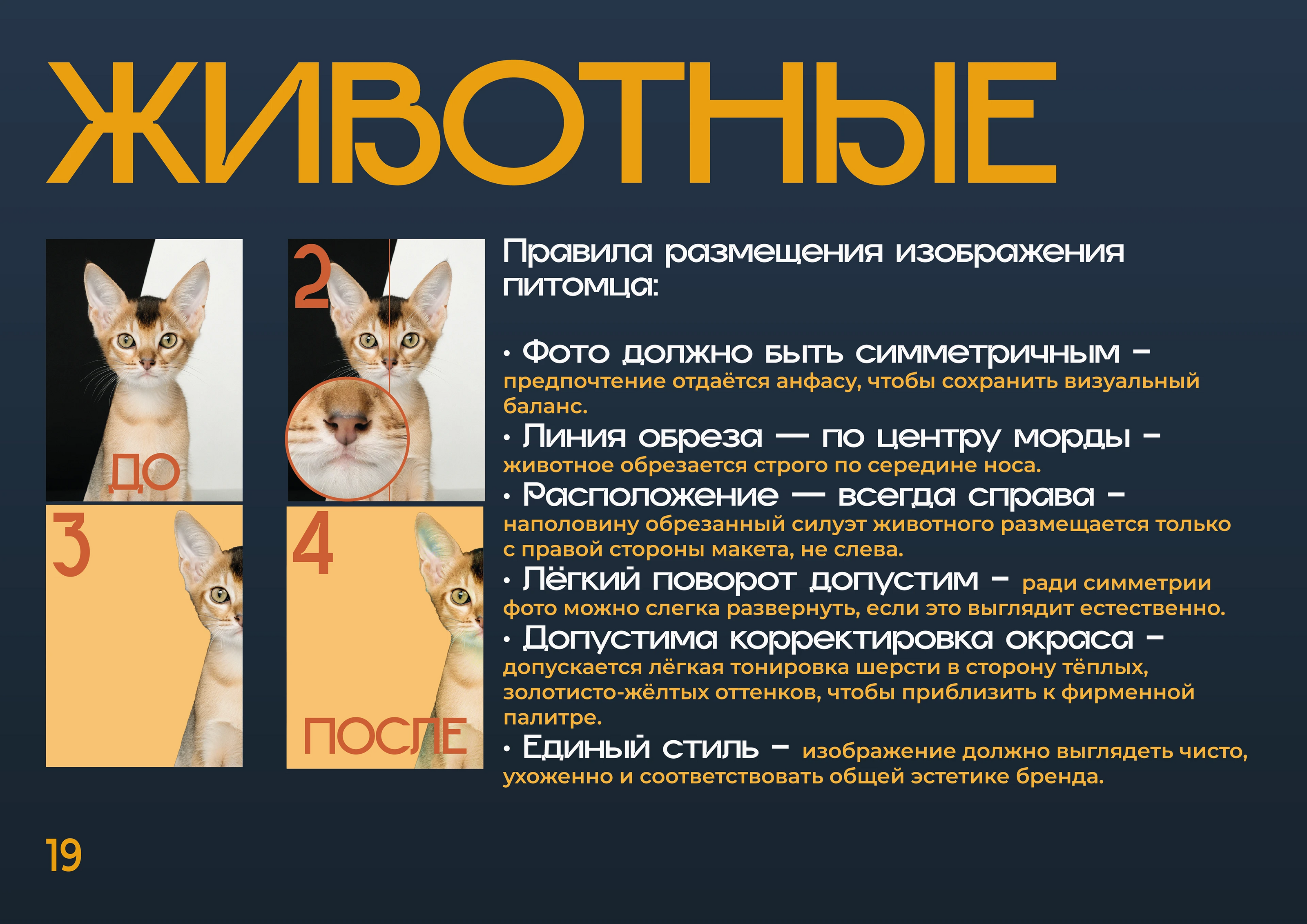 Брендбук HappyPet: полный гайдлайн — Изображение №19 — Интерфейсы, Брендинг на Dprofile