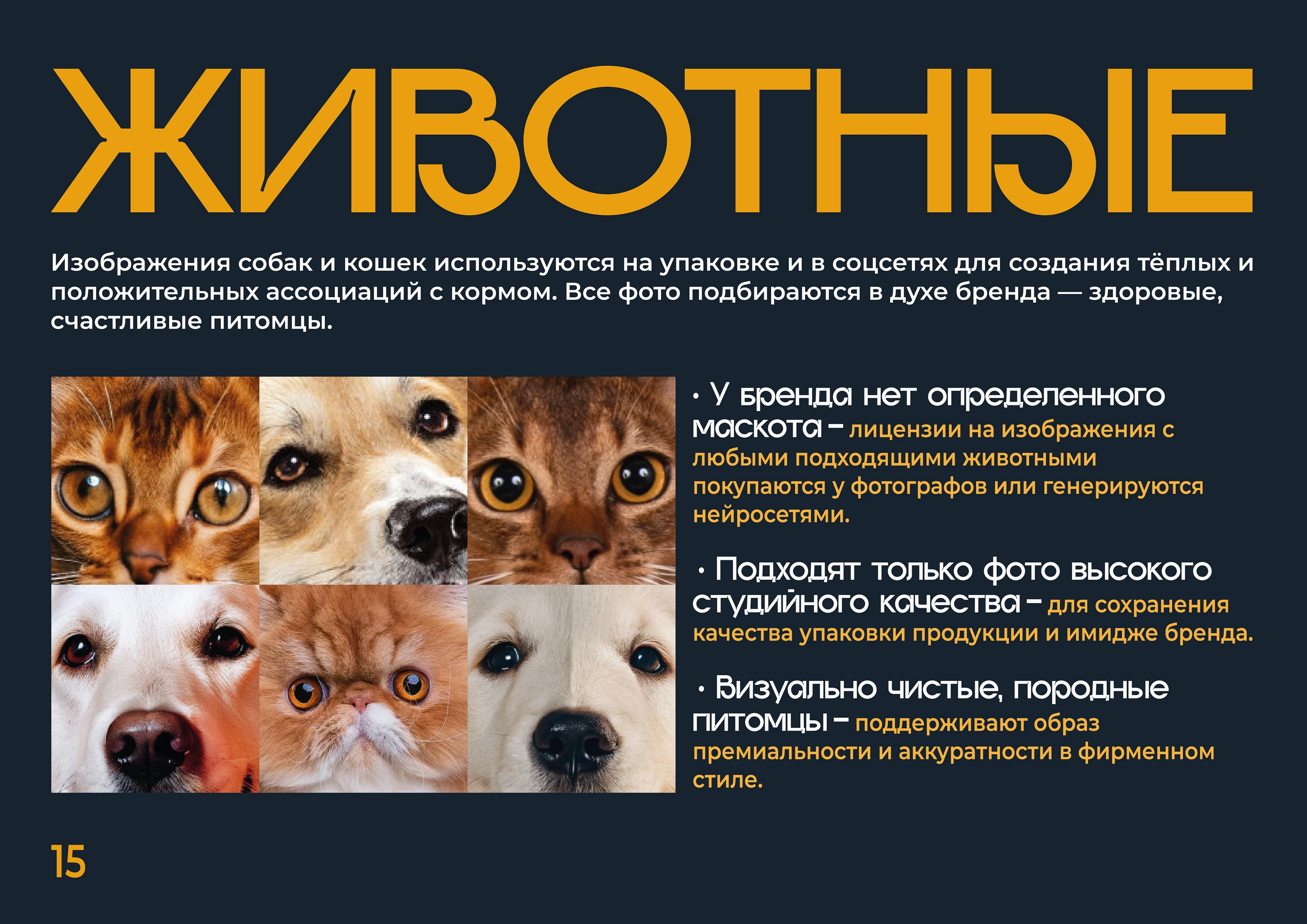 Брендбук HappyPet: полный гайдлайн — Изображение №15 — Интерфейсы, Брендинг на Dprofile