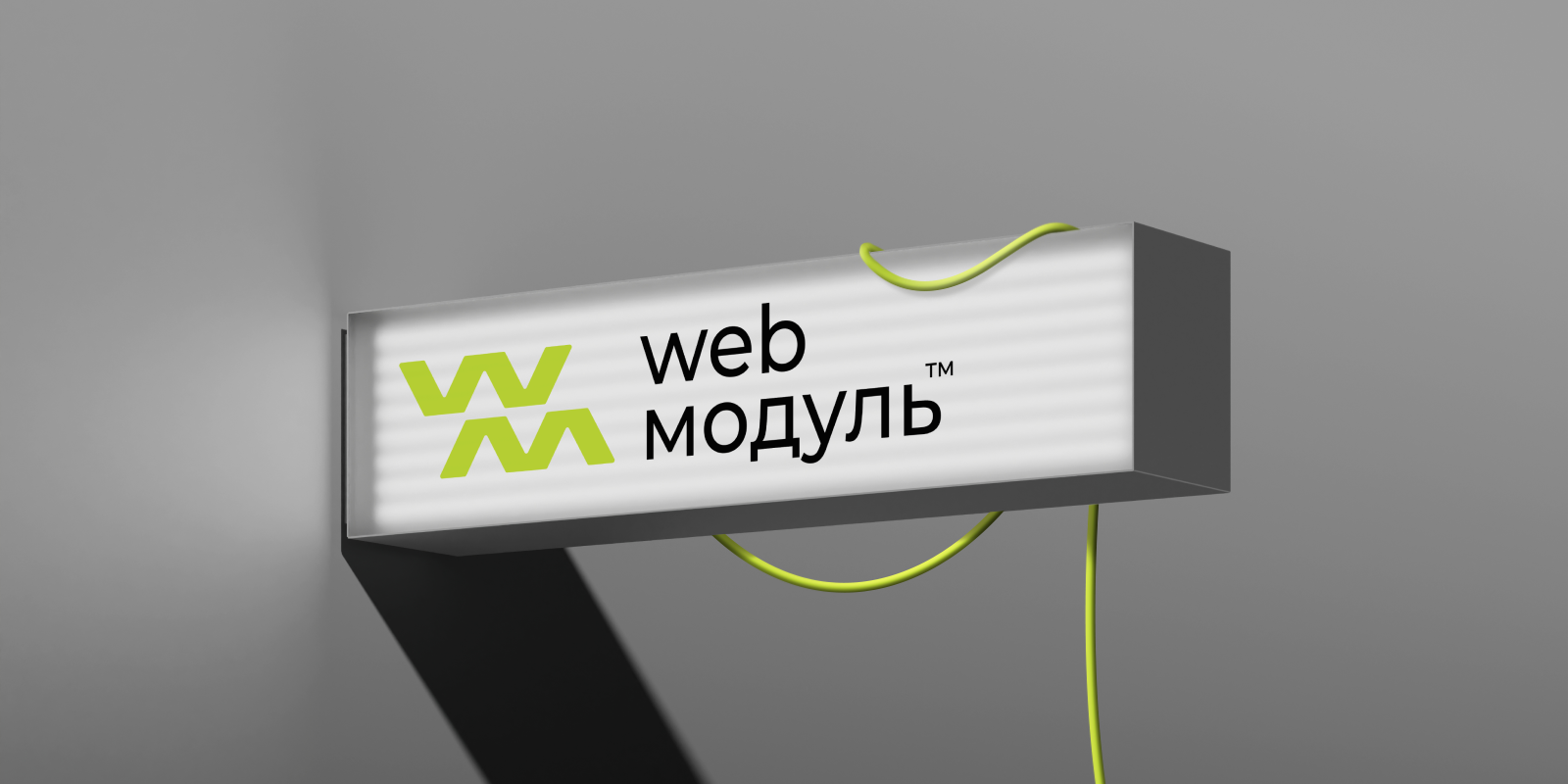 webмодуль / Брендинг — Изображение №2 — Брендинг, Графика на Dprofile