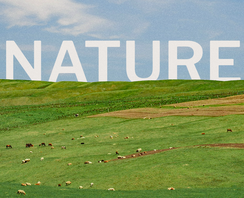 Постер "Nature" — Графика на Dprofile