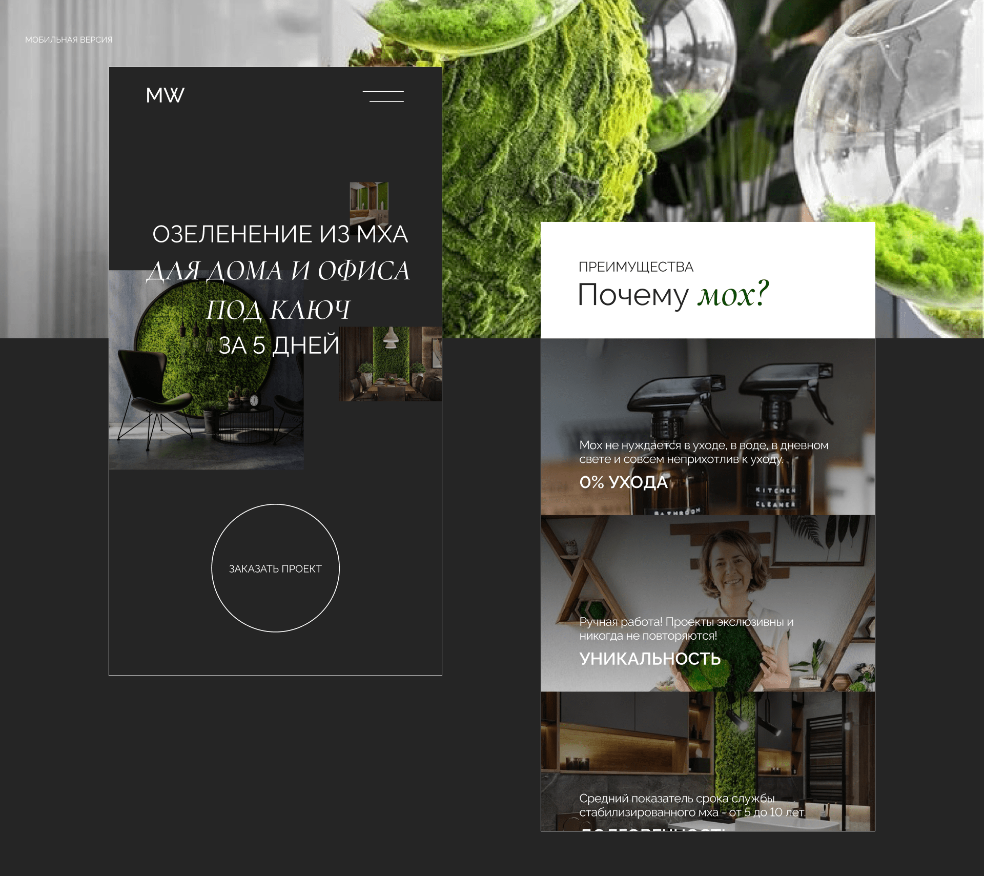 Moss Wall — Изображение №3 — Маркетинг, Интерфейсы на Dprofile