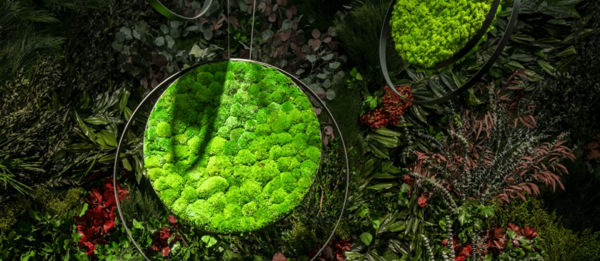 Moss Wall — Изображение №10 — Маркетинг, Интерфейсы на Dprofile