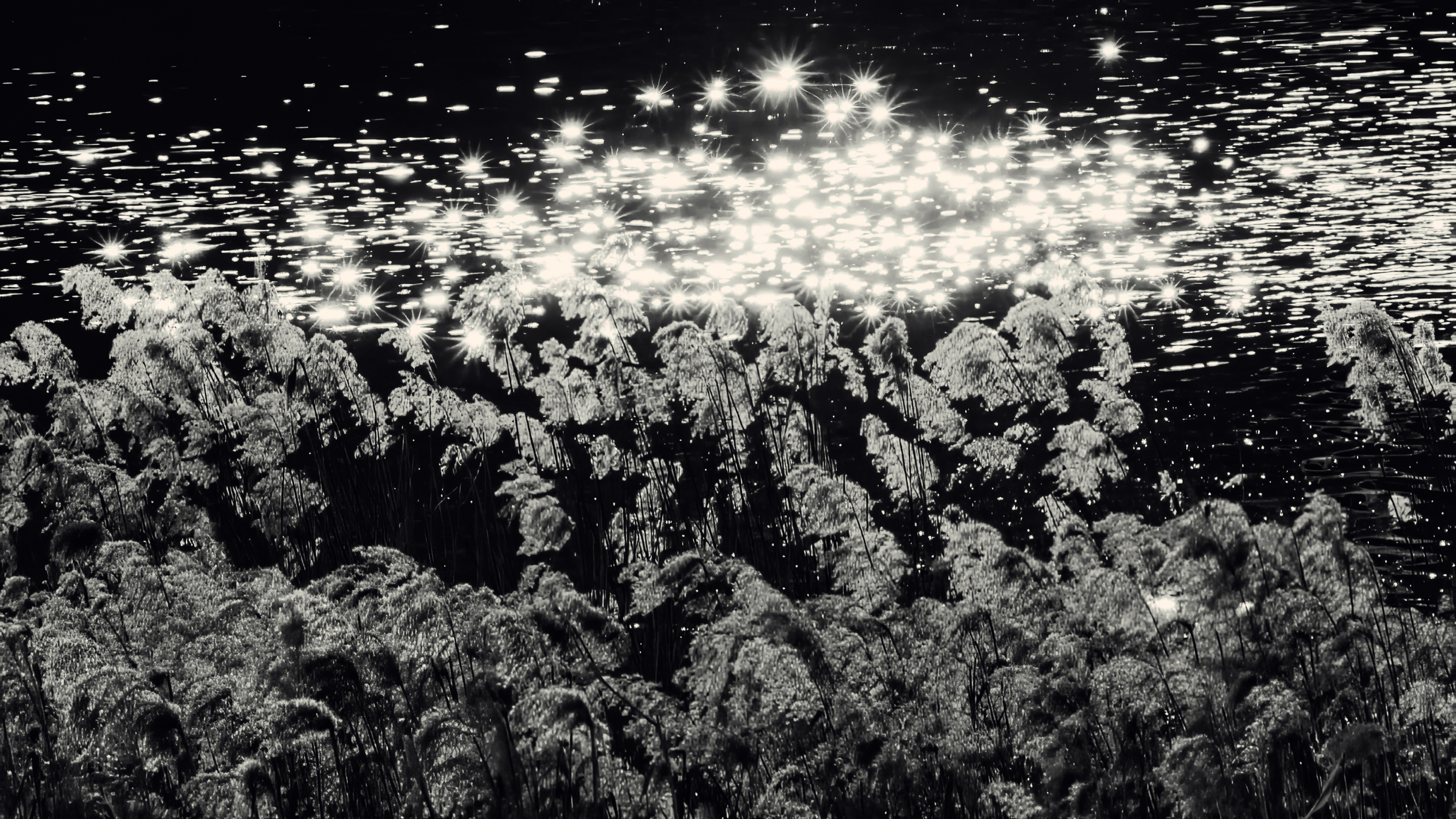 видео портфолио "ЧЕРНОВИК 01" — Изображение №13 — Анимация на Dprofile