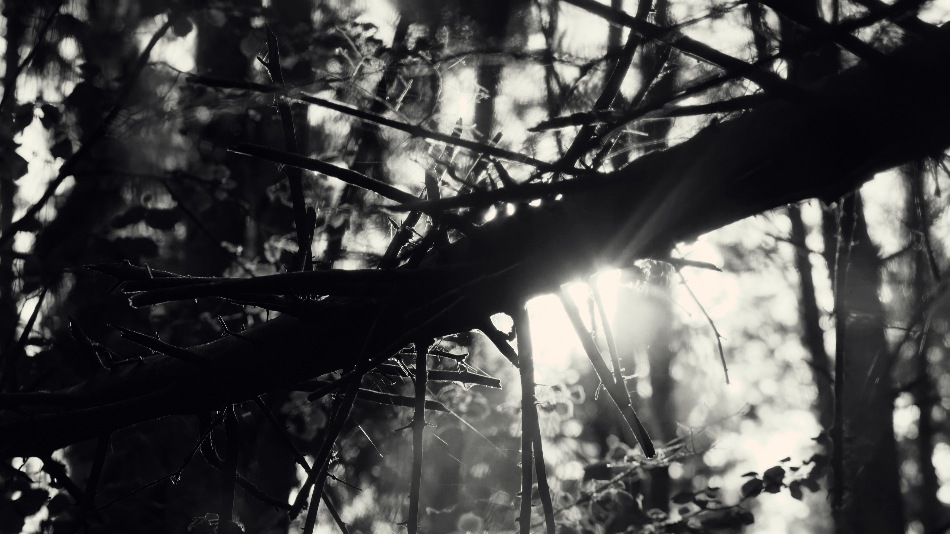 видео портфолио "ЧЕРНОВИК 01" — Изображение №32 — Анимация на Dprofile