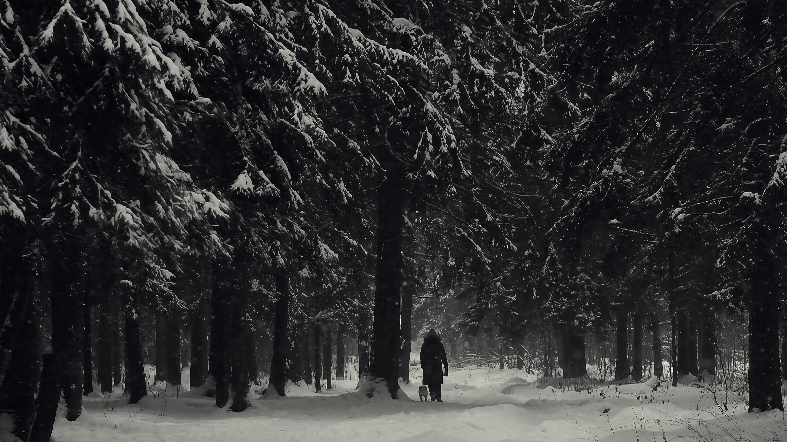 видео портфолио "ЧЕРНОВИК 01" — Изображение №25 — Анимация на Dprofile