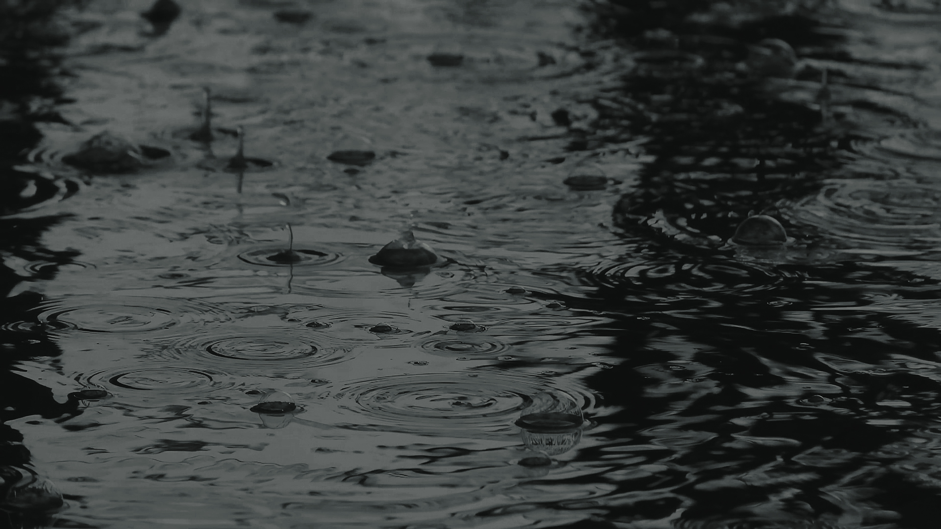 видео портфолио "ЧЕРНОВИК 01" — Изображение №10 — Анимация на Dprofile