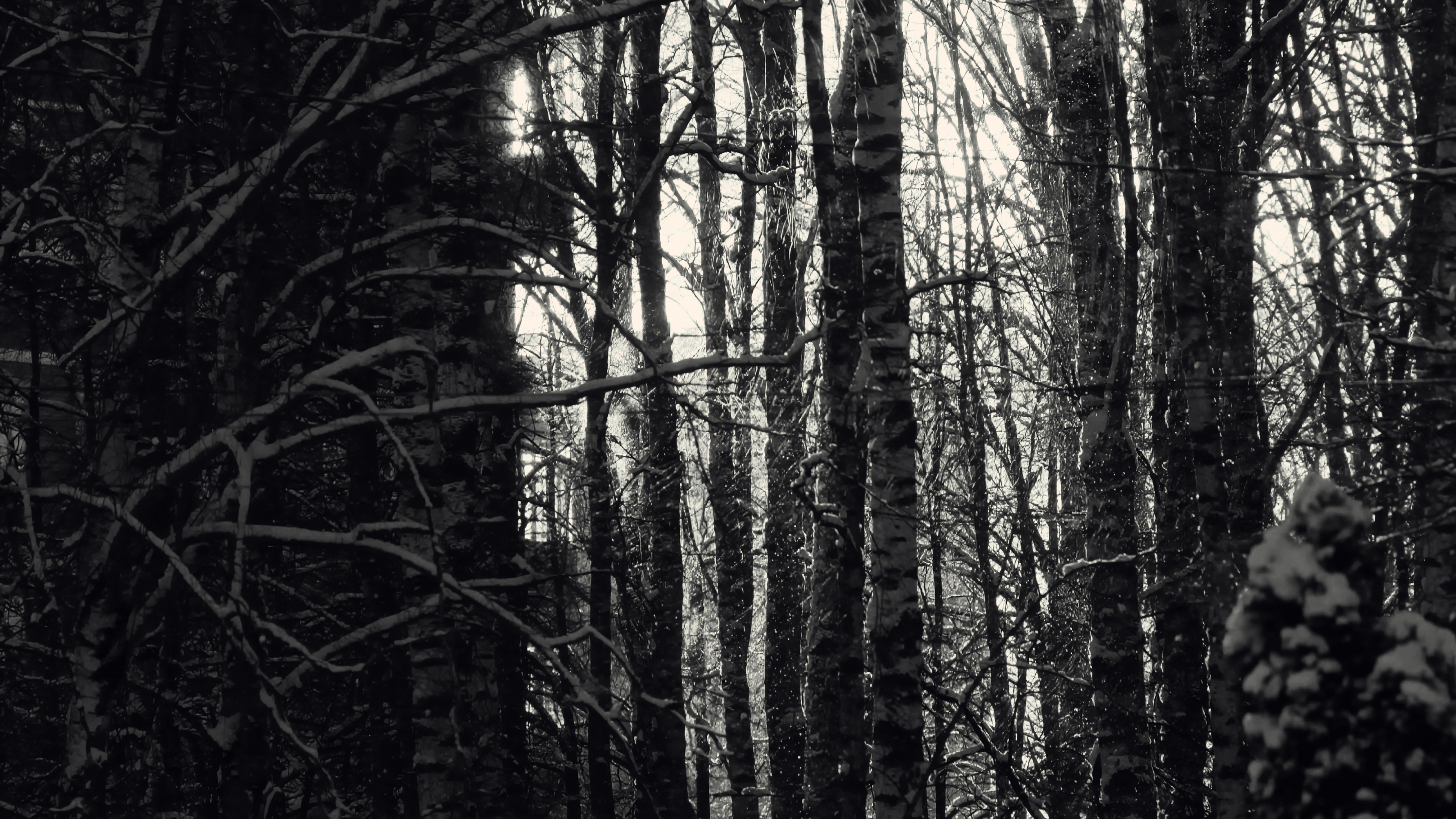 видео портфолио "ЧЕРНОВИК 01" — Изображение №15 — Анимация на Dprofile